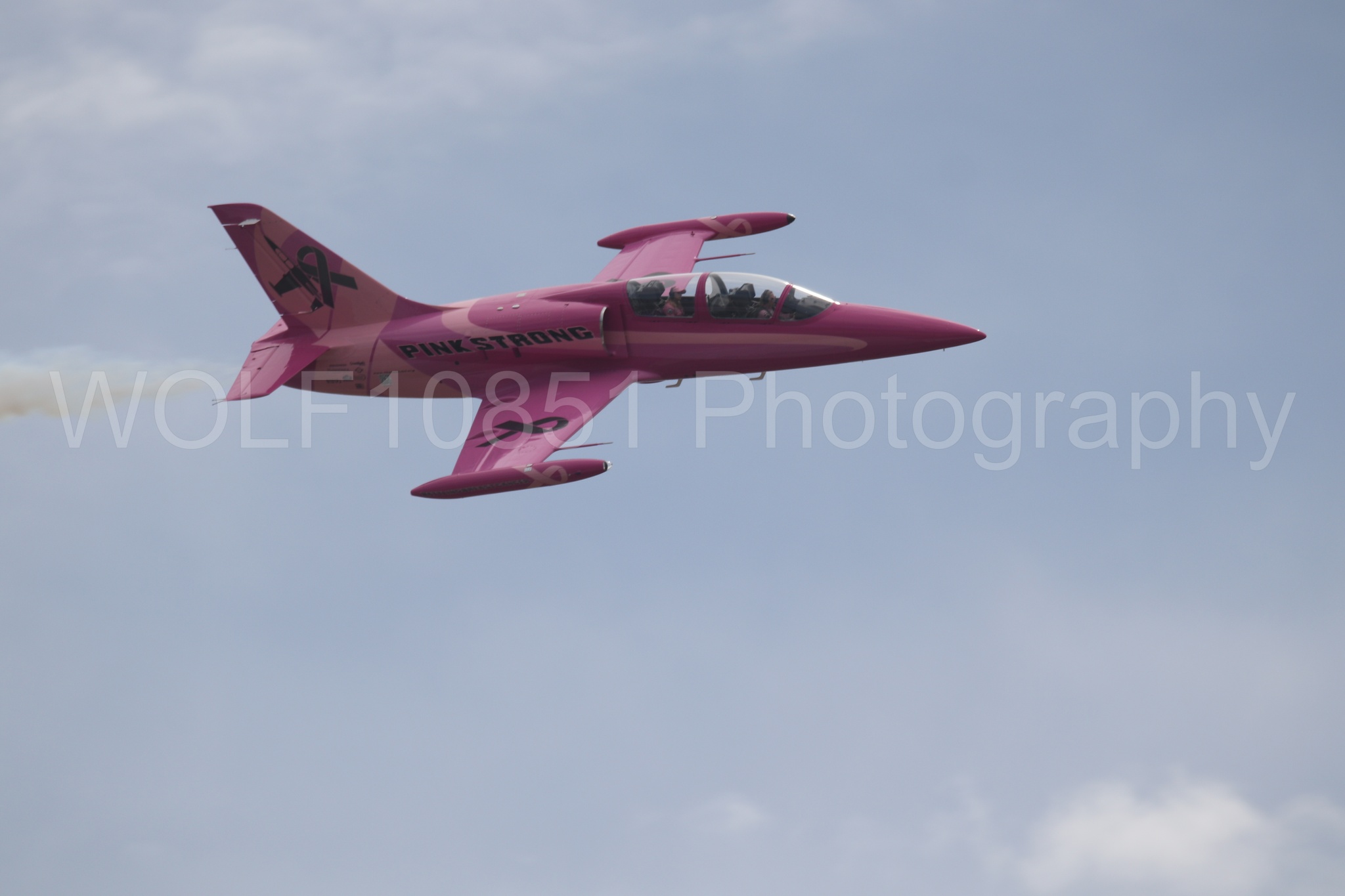 L-39 Albatros | WOLF10851 Photography