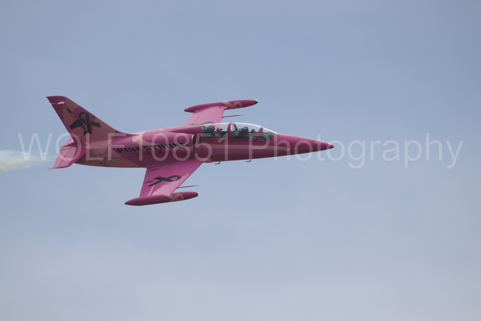 L-39 Albatros | WOLF10851 Photography