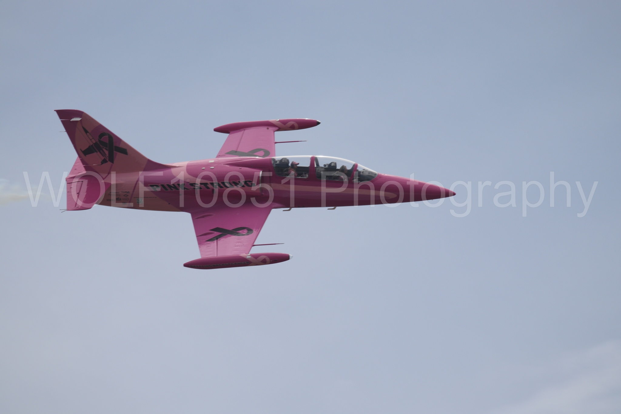 L-39 Albatros | WOLF10851 Photography