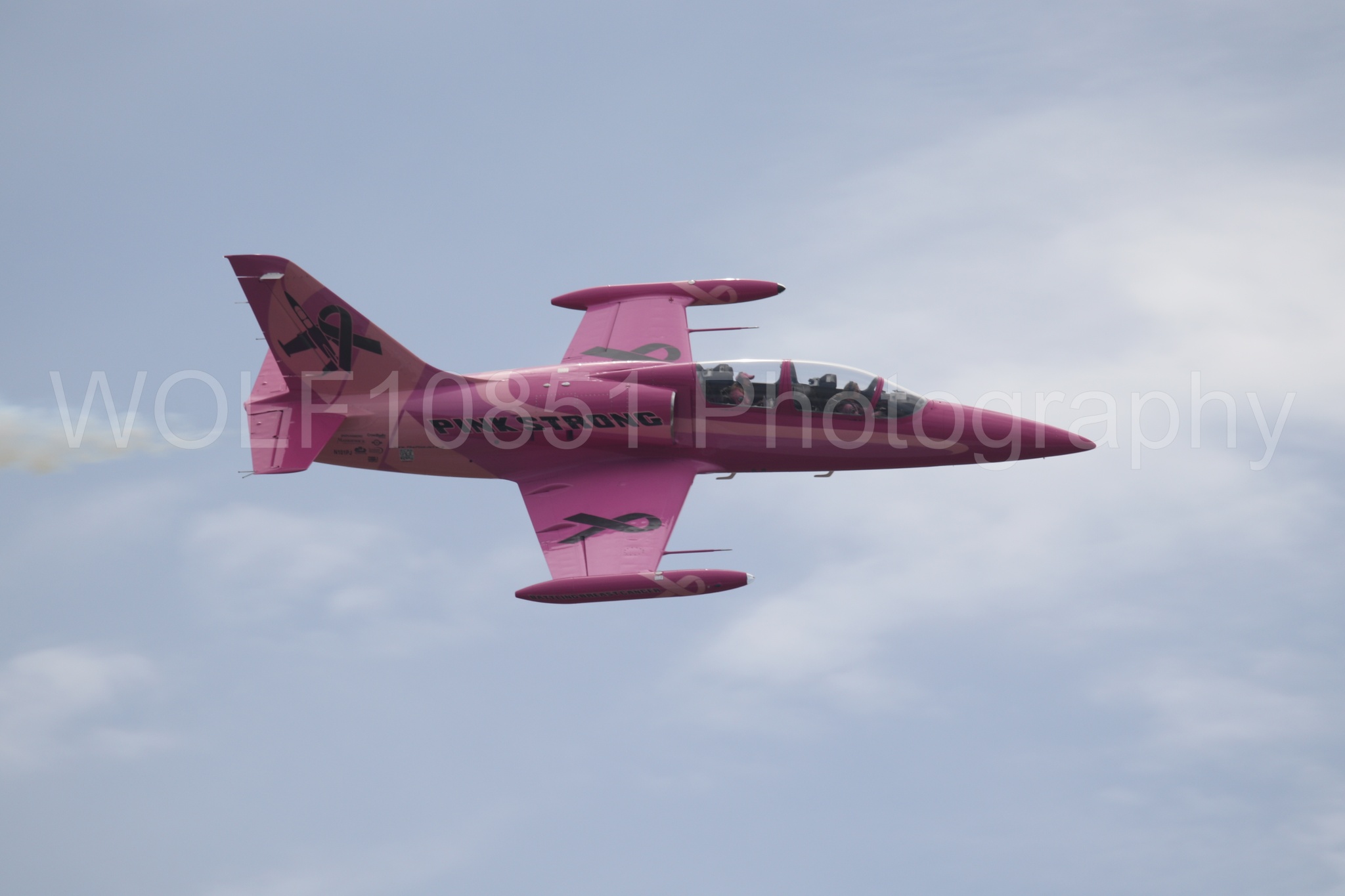 L-39 Albatros | WOLF10851 Photography