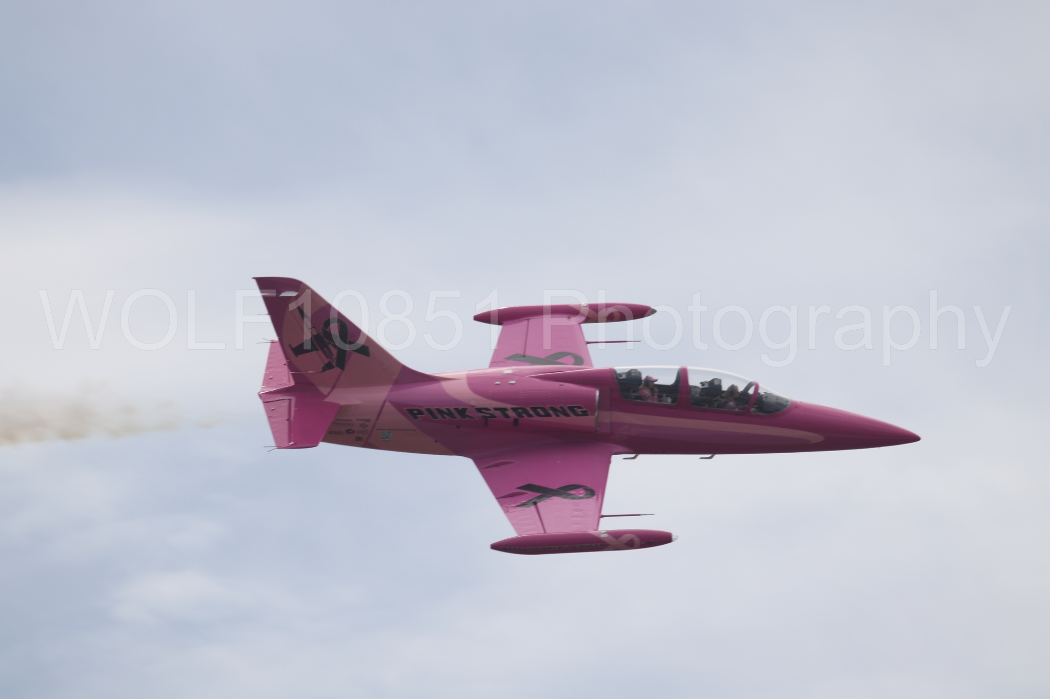 L-39 Albatros | WOLF10851 Photography