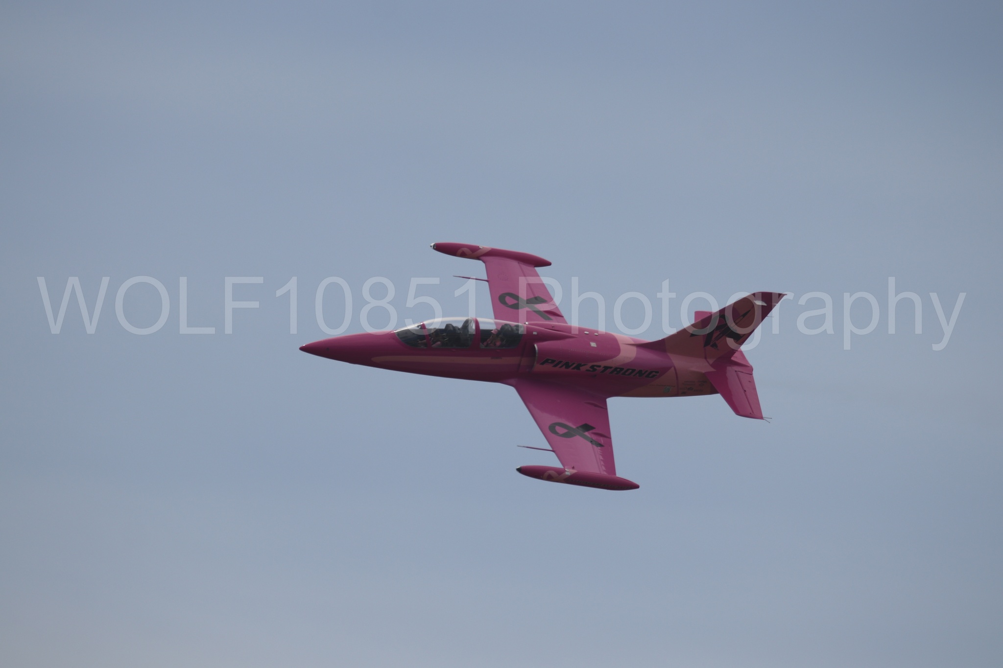 L-39 Albatros | WOLF10851 Photography