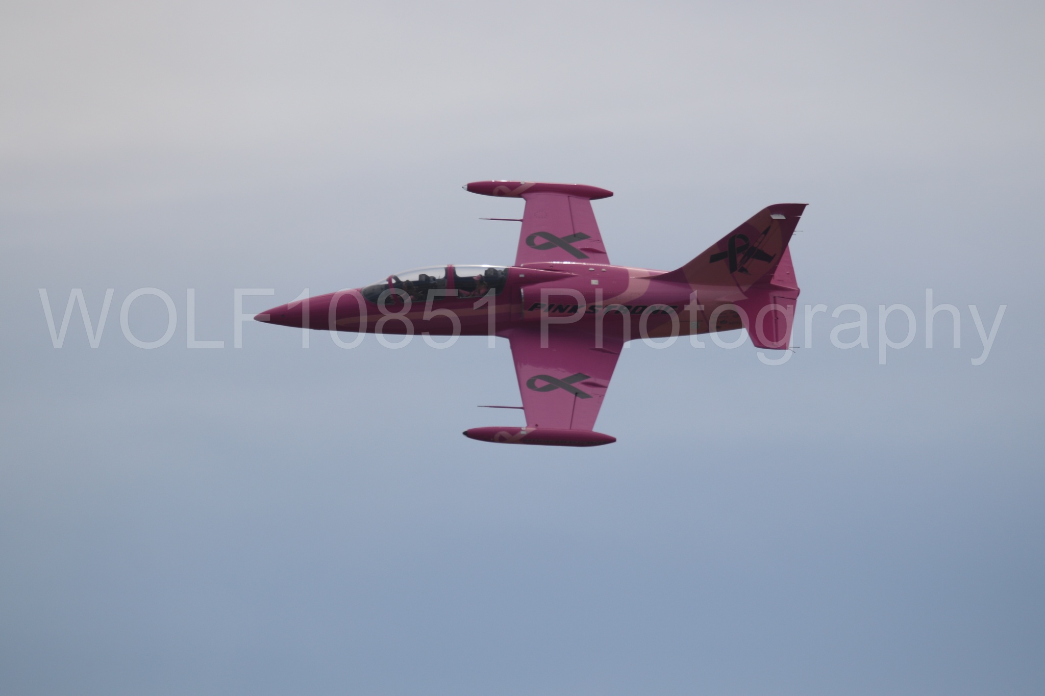L-39 Albatros | WOLF10851 Photography