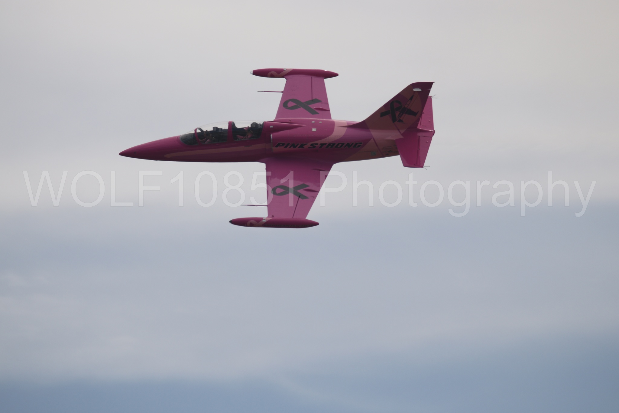 L-39 Albatros | WOLF10851 Photography