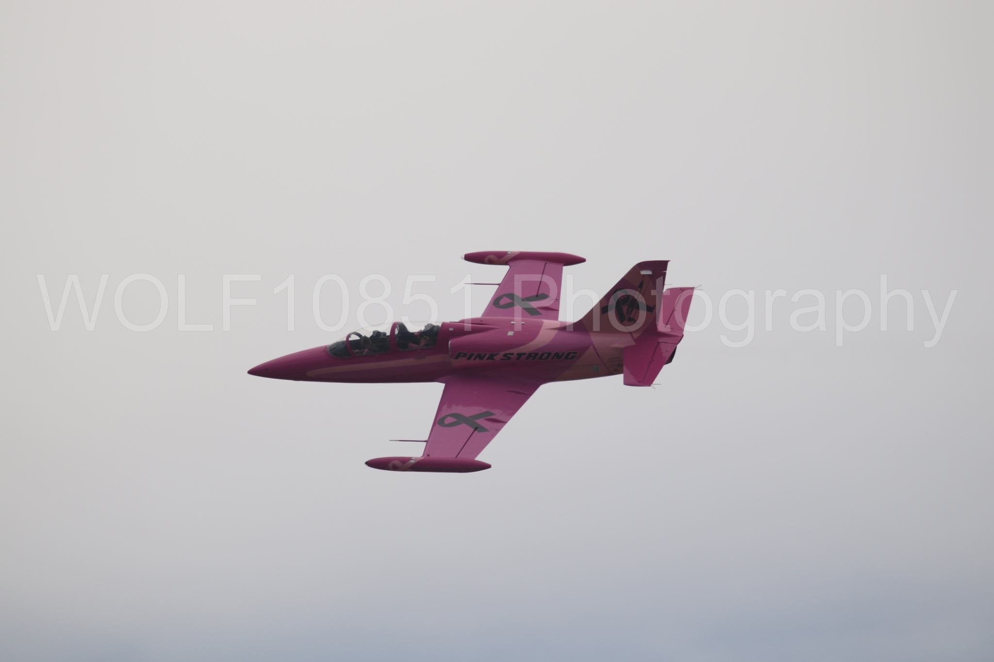 L-39 Albatros | WOLF10851 Photography