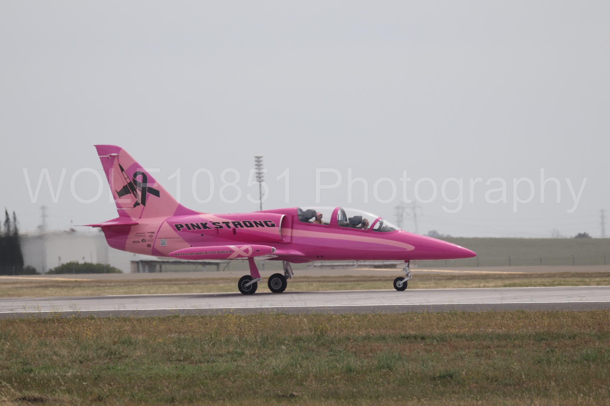 L-39 Albatros | WOLF10851 Photography