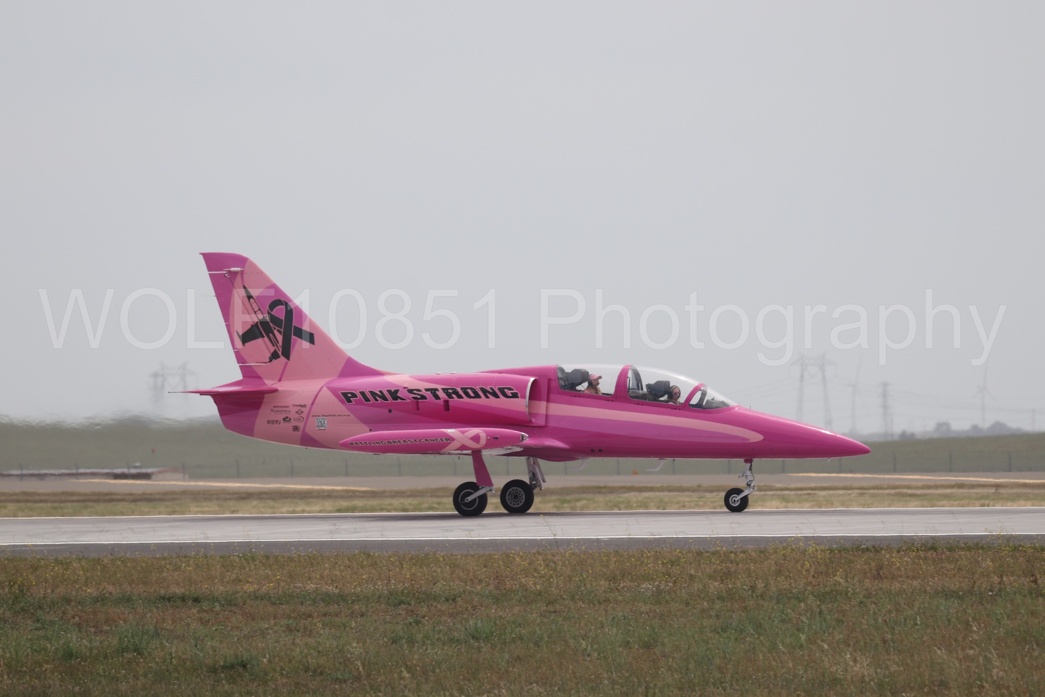 L-39 Albatros | WOLF10851 Photography