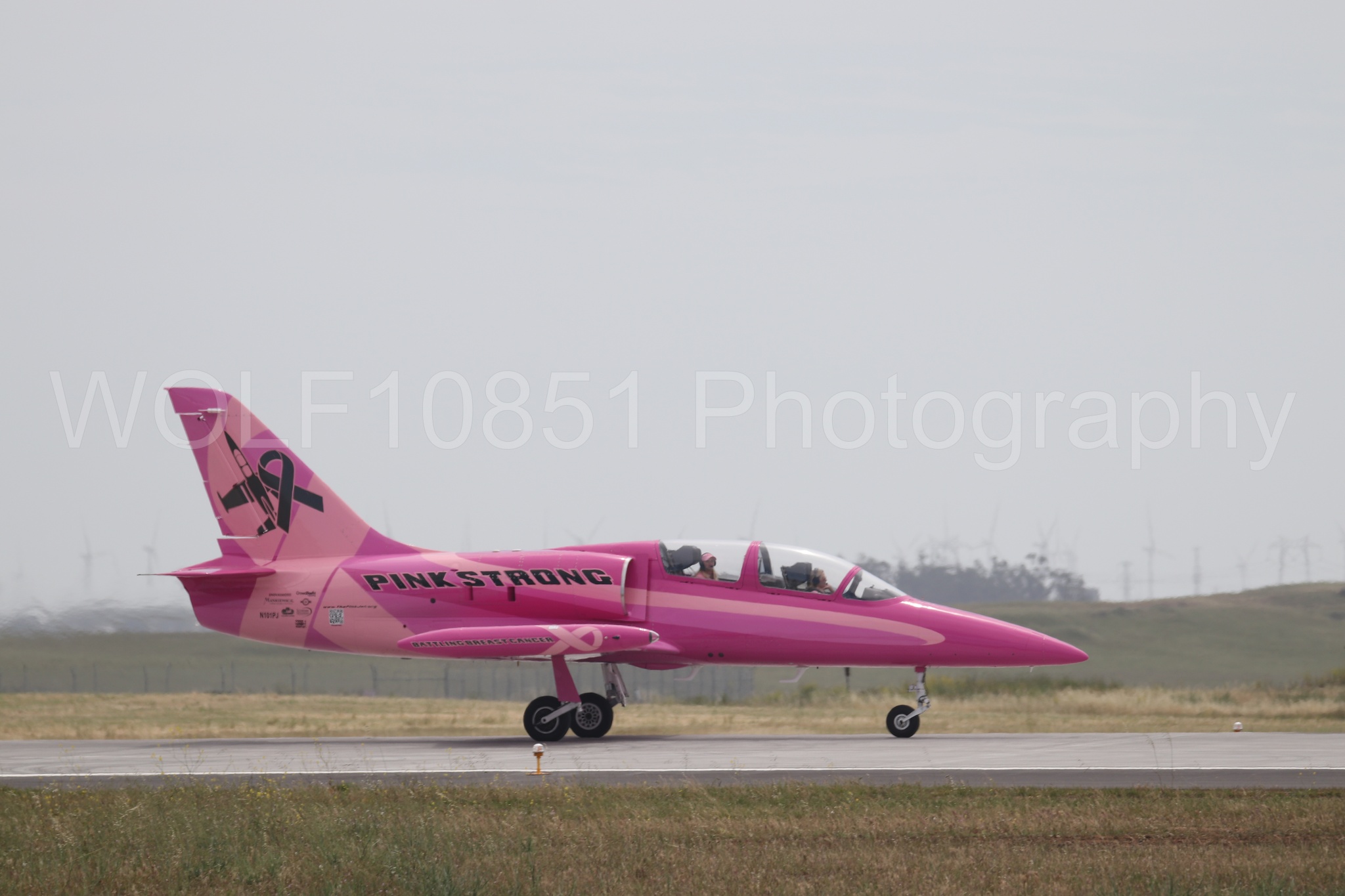 L-39 Albatros | WOLF10851 Photography