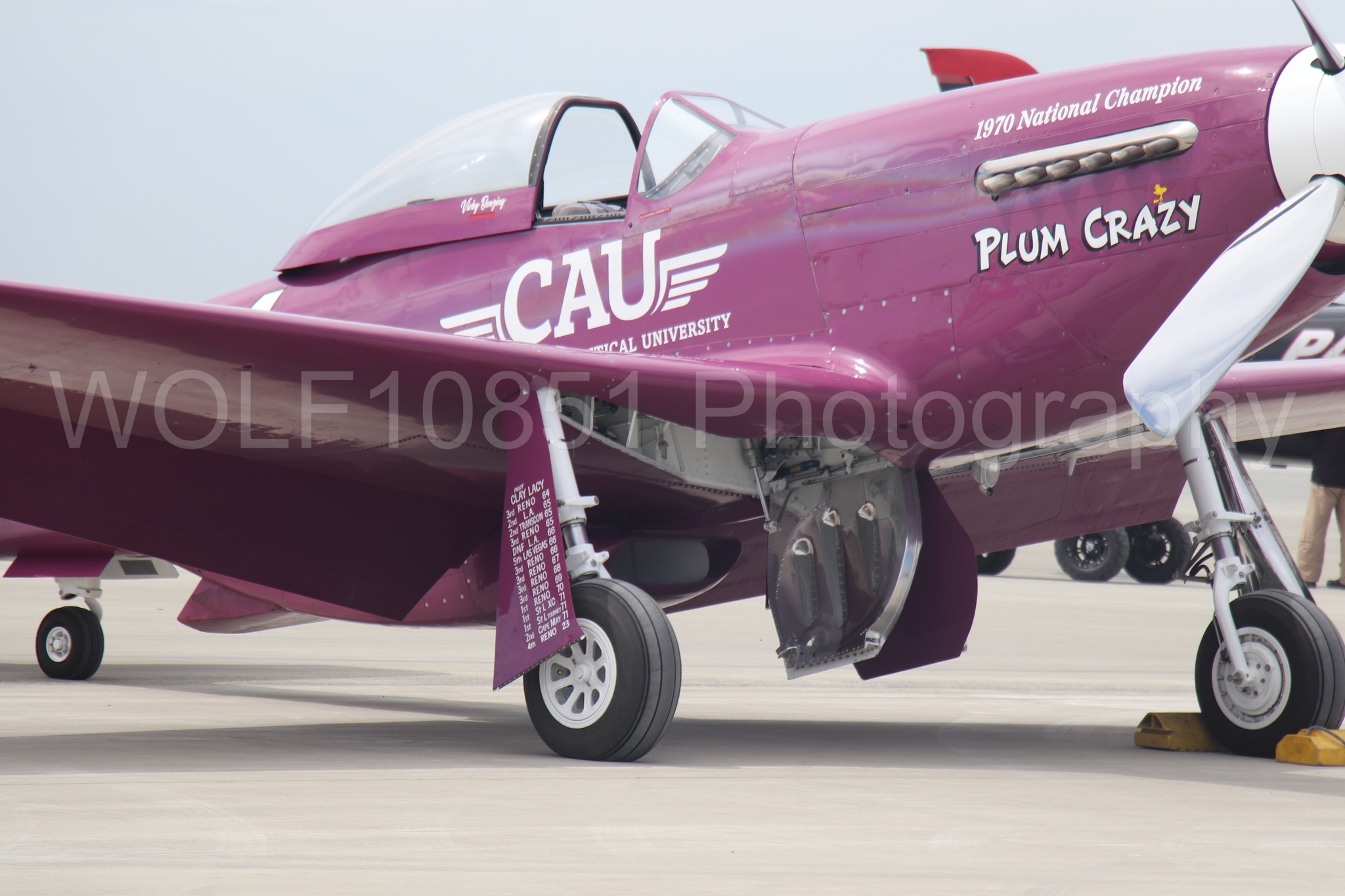 P-51 Mustang | Vicky Benzing | WOLF10851 Photography