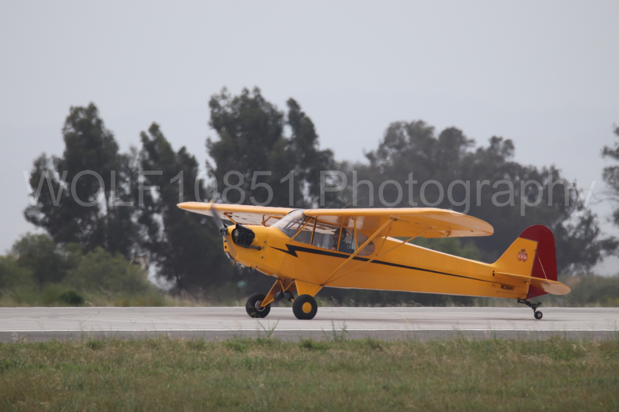 Piper J-3 Cub | Tucker Air Patrol | WOLF10851 Photography