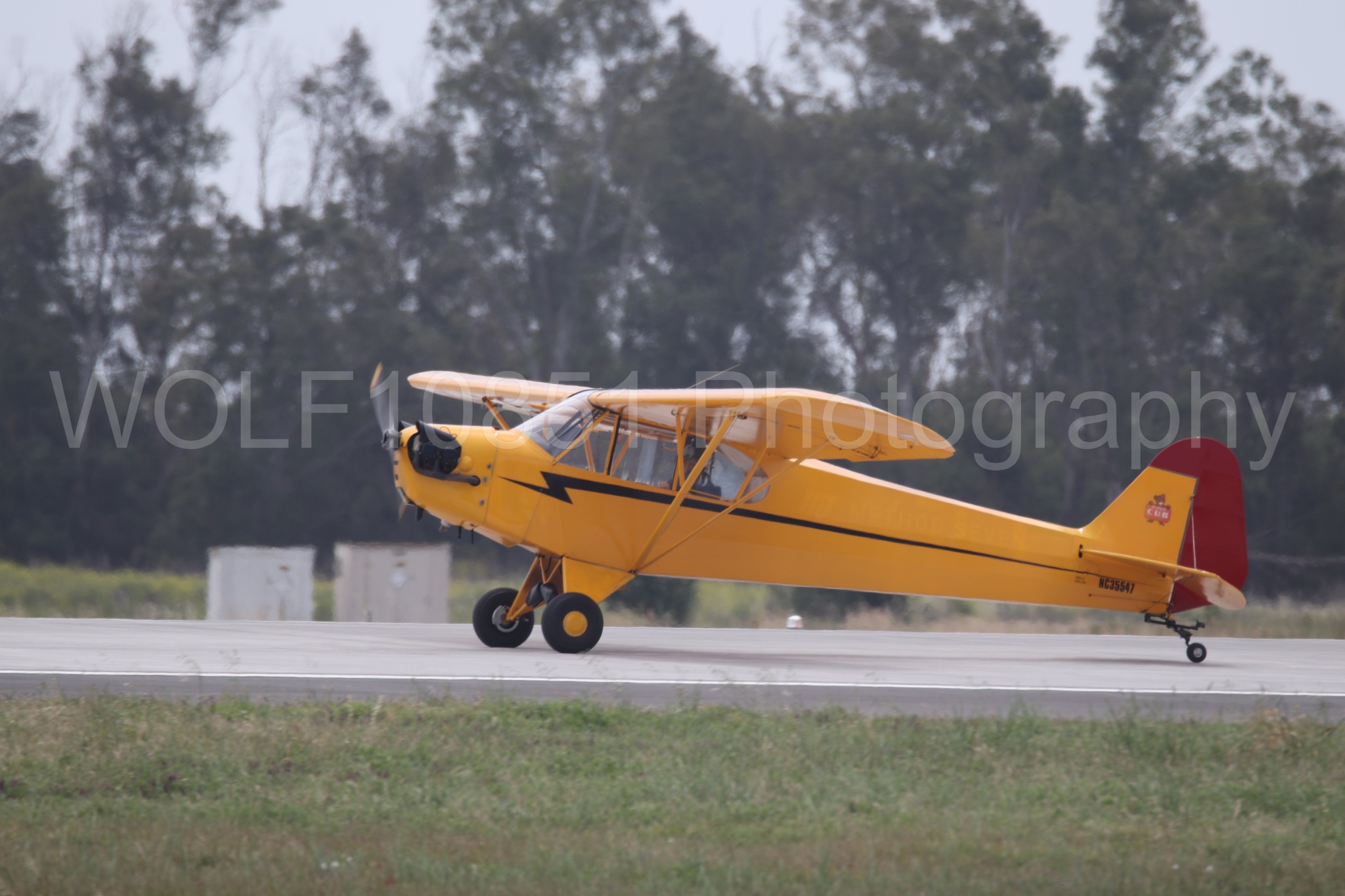 Piper J-3 Cub | Tucker Air Patrol | WOLF10851 Photography