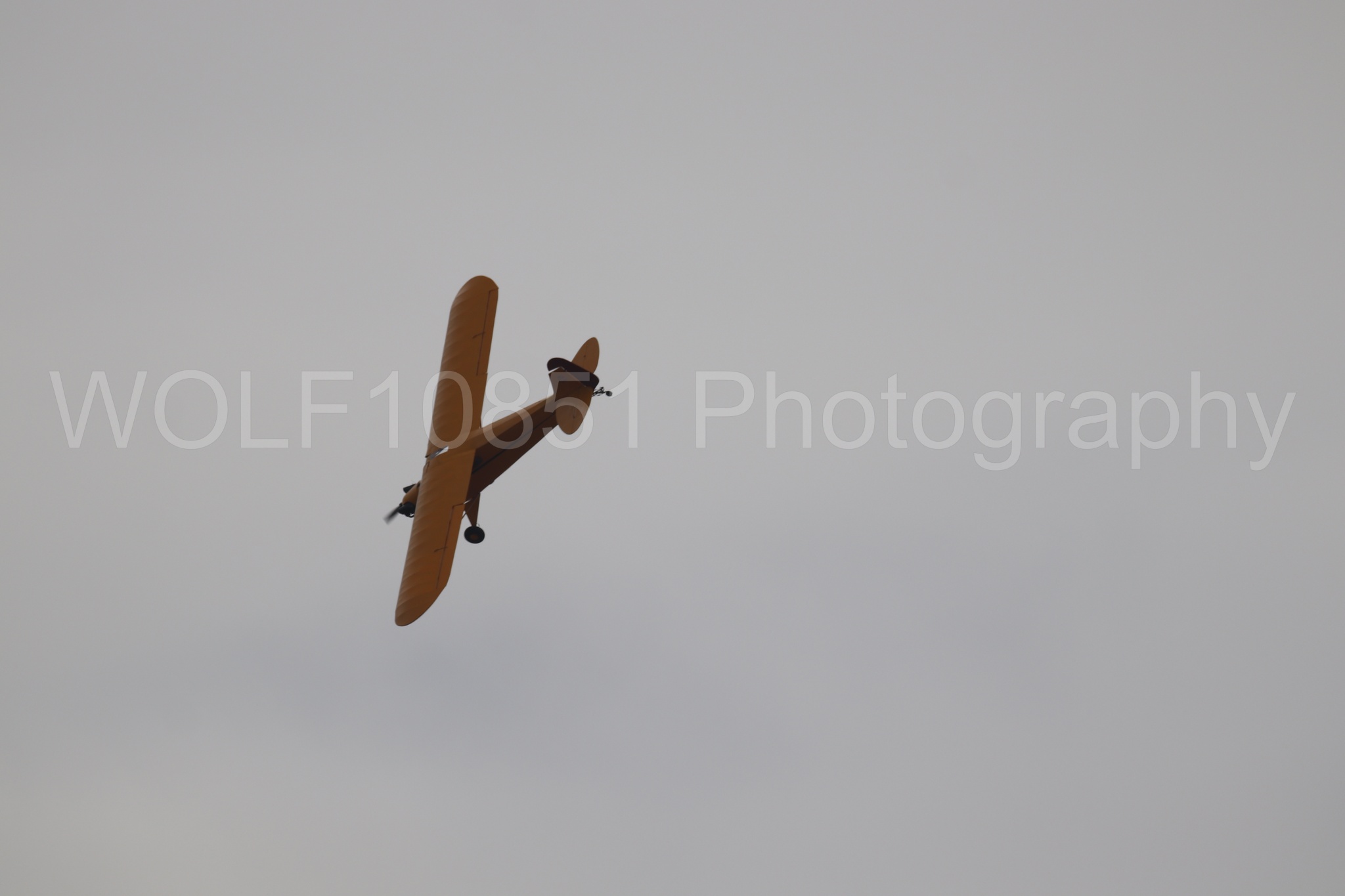 Piper J-3 Cub | Tucker Air Patrol | WOLF10851 Photography