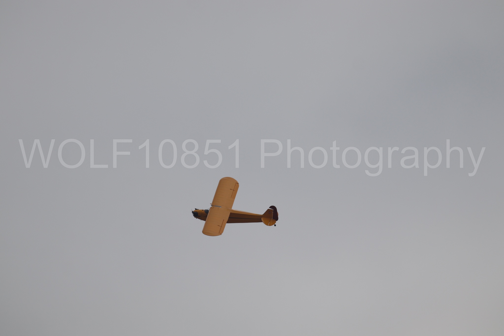 Piper J-3 Cub | Tucker Air Patrol | WOLF10851 Photography