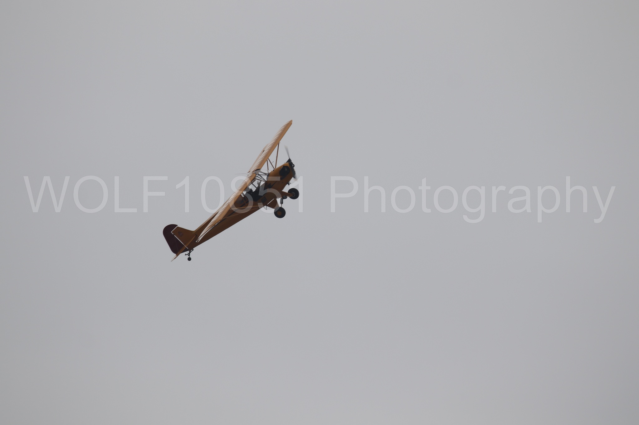 Piper J-3 Cub | Tucker Air Patrol | WOLF10851 Photography