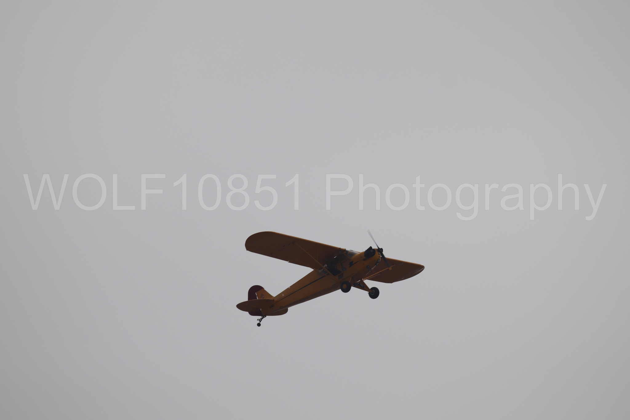 Piper J-3 Cub | Tucker Air Patrol | WOLF10851 Photography