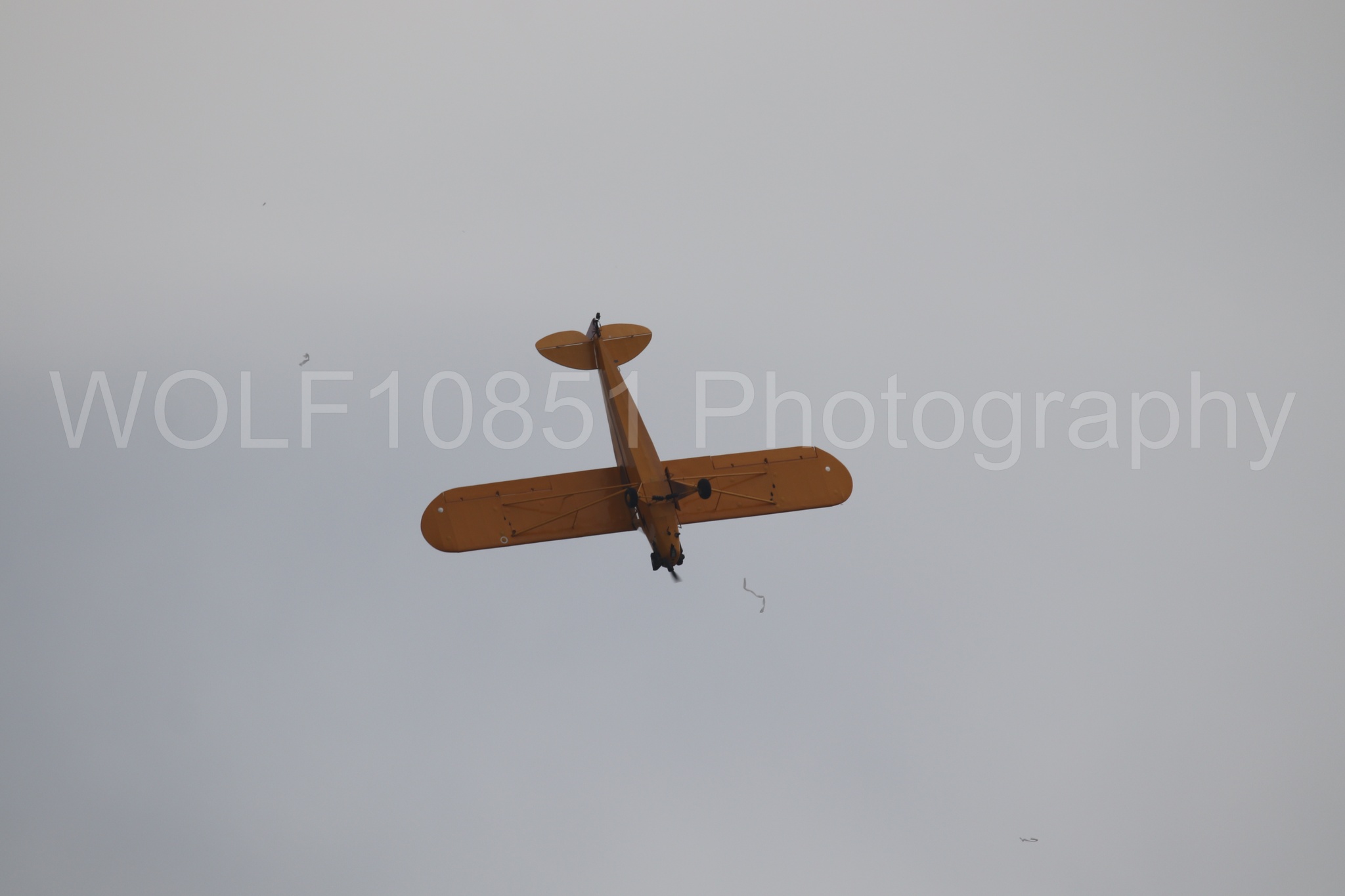 Piper J-3 Cub | Tucker Air Patrol | WOLF10851 Photography