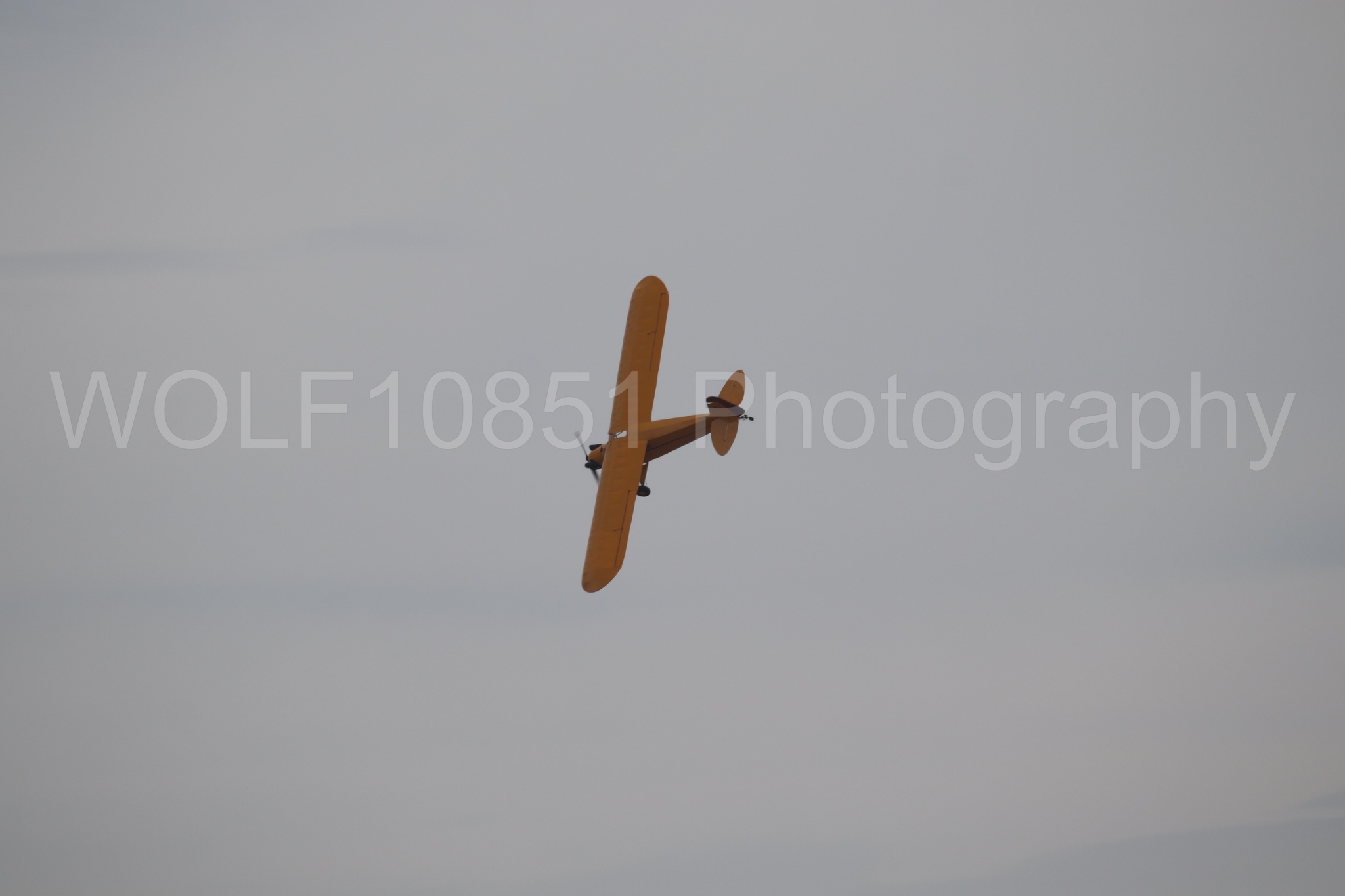 Piper J-3 Cub | Tucker Air Patrol | WOLF10851 Photography