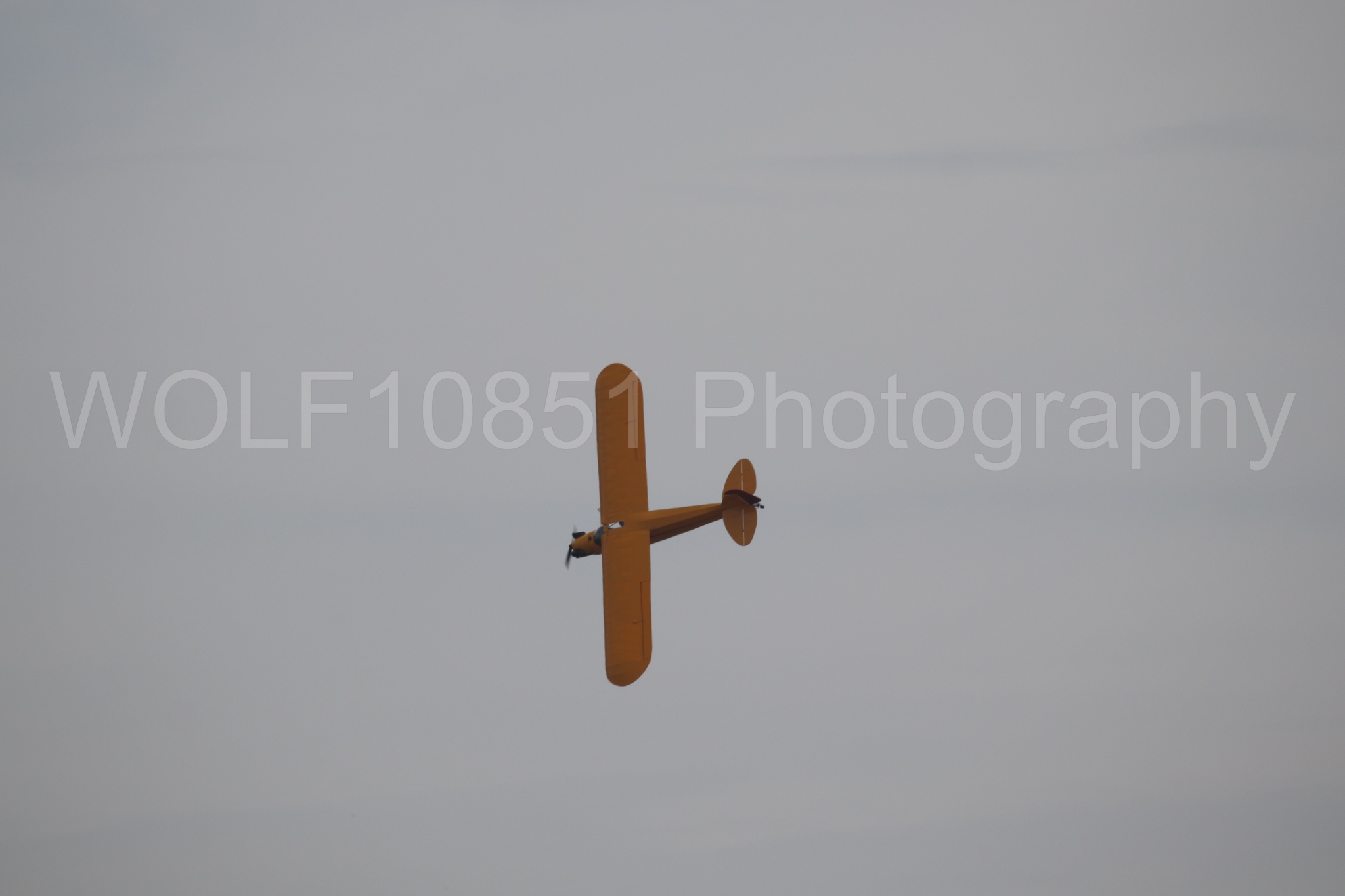 Piper J-3 Cub | Tucker Air Patrol | WOLF10851 Photography