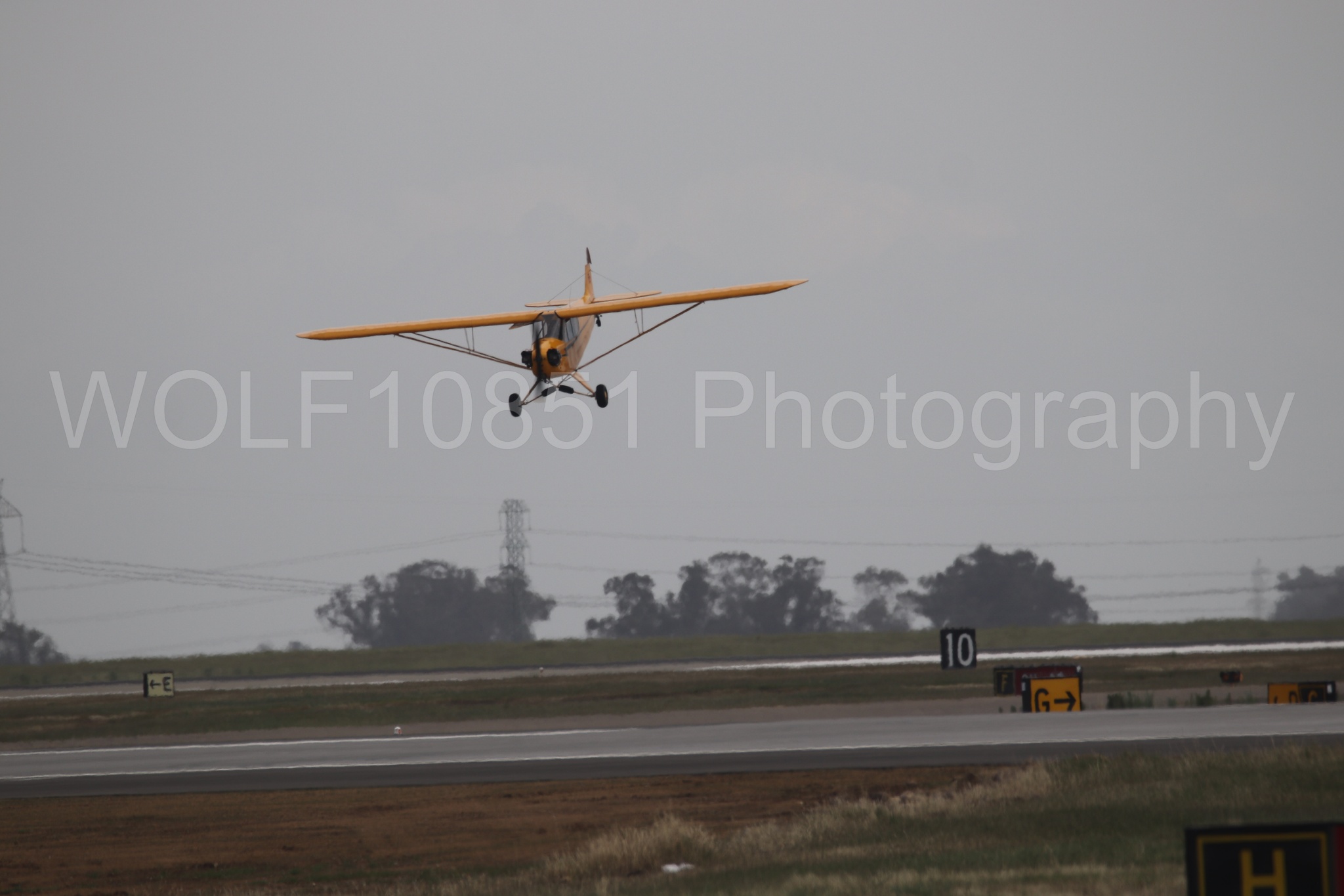 Piper J-3 Cub | Tucker Air Patrol | WOLF10851 Photography