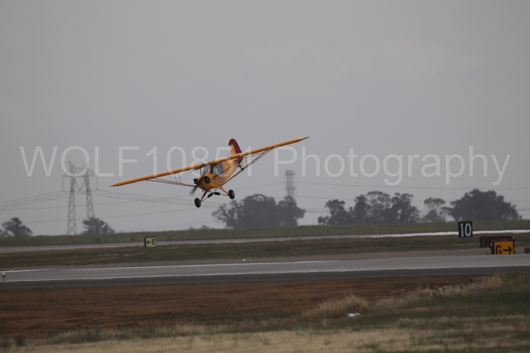 Piper J-3 Cub | Tucker Air Patrol | WOLF10851 Photography