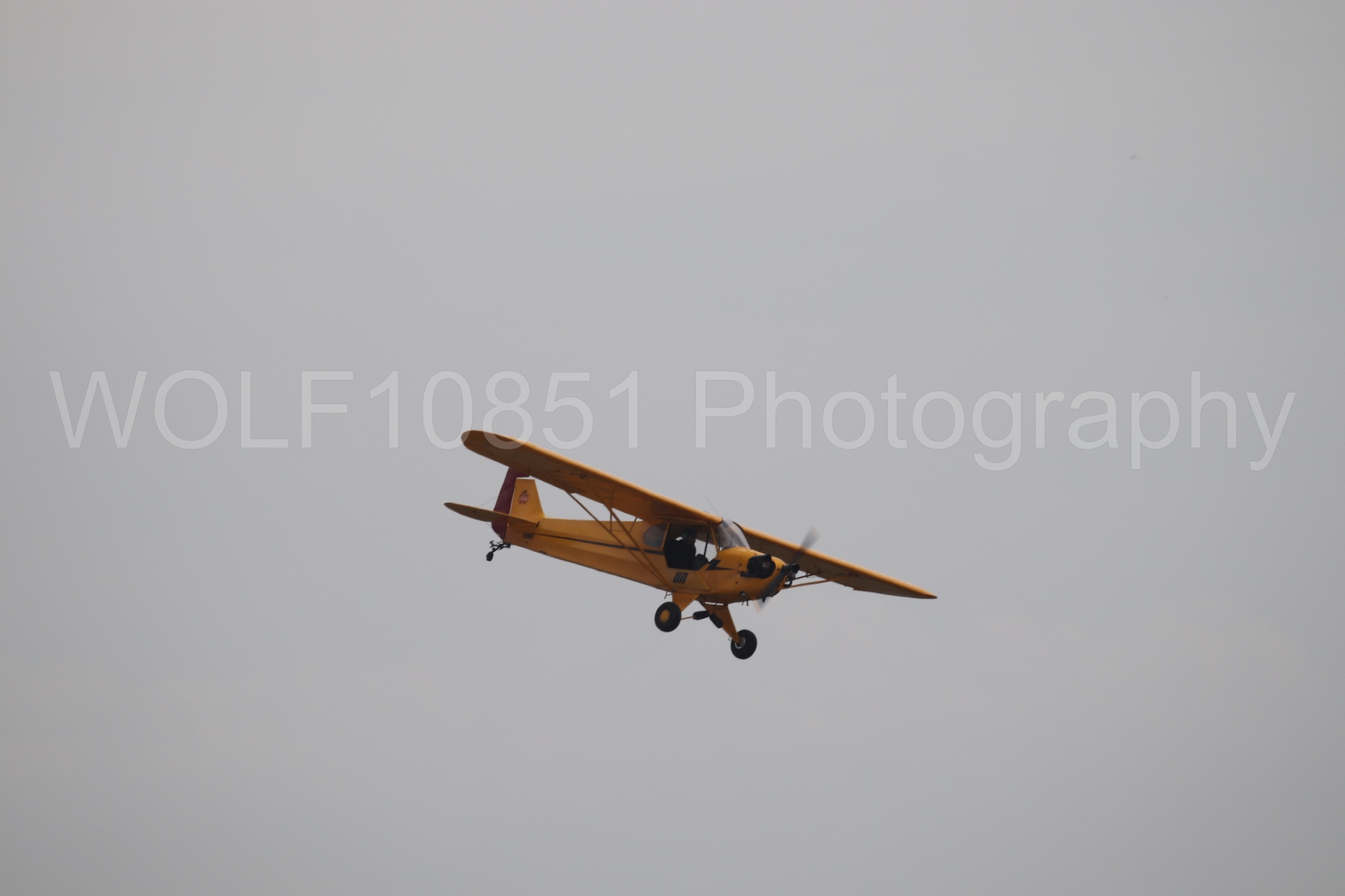 Piper J-3 Cub | Tucker Air Patrol | WOLF10851 Photography