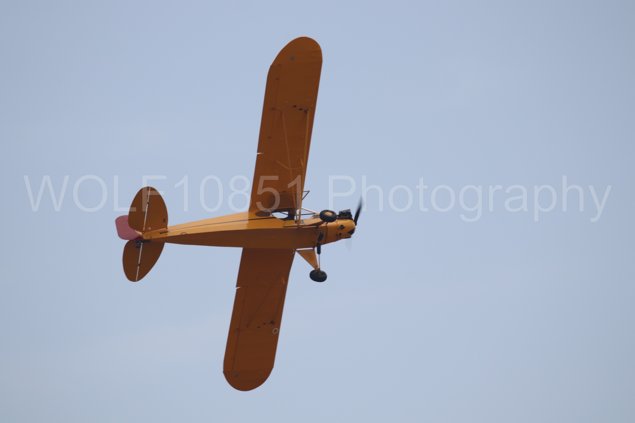 Piper J-3 Cub | Tucker Air Patrol | WOLF10851 Photography