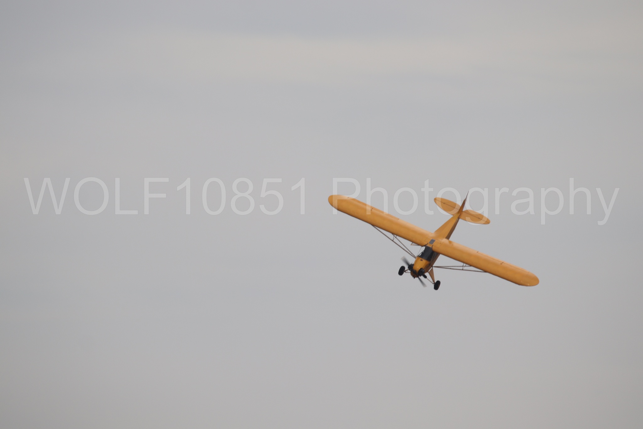 Piper J-3 Cub | Tucker Air Patrol | WOLF10851 Photography
