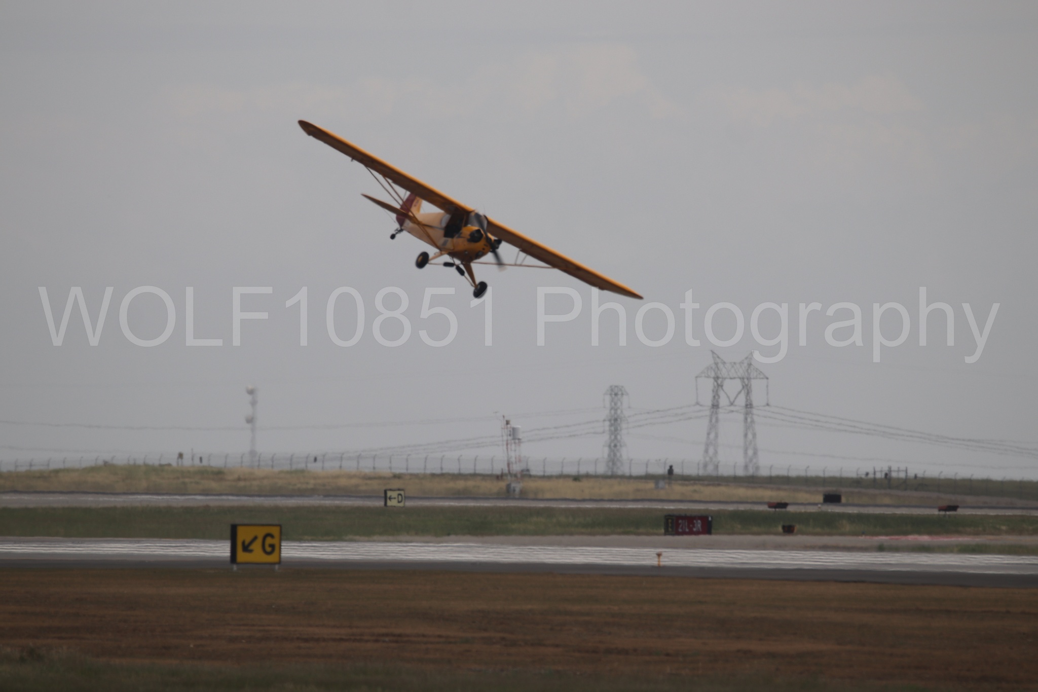 Piper J-3 Cub | Tucker Air Patrol | WOLF10851 Photography