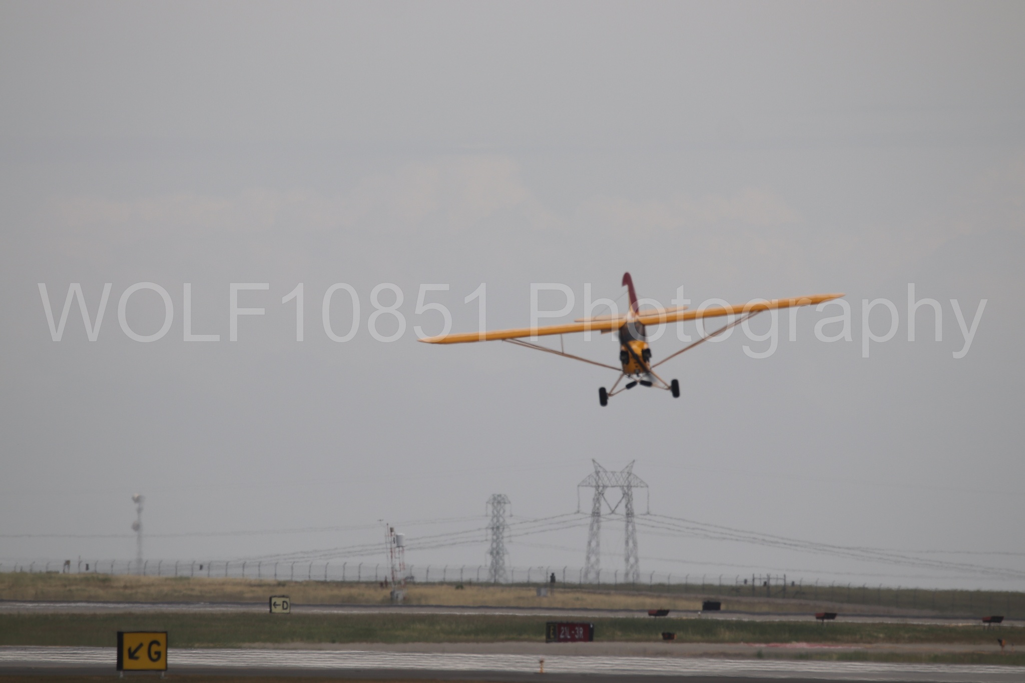 Piper J-3 Cub | Tucker Air Patrol | WOLF10851 Photography