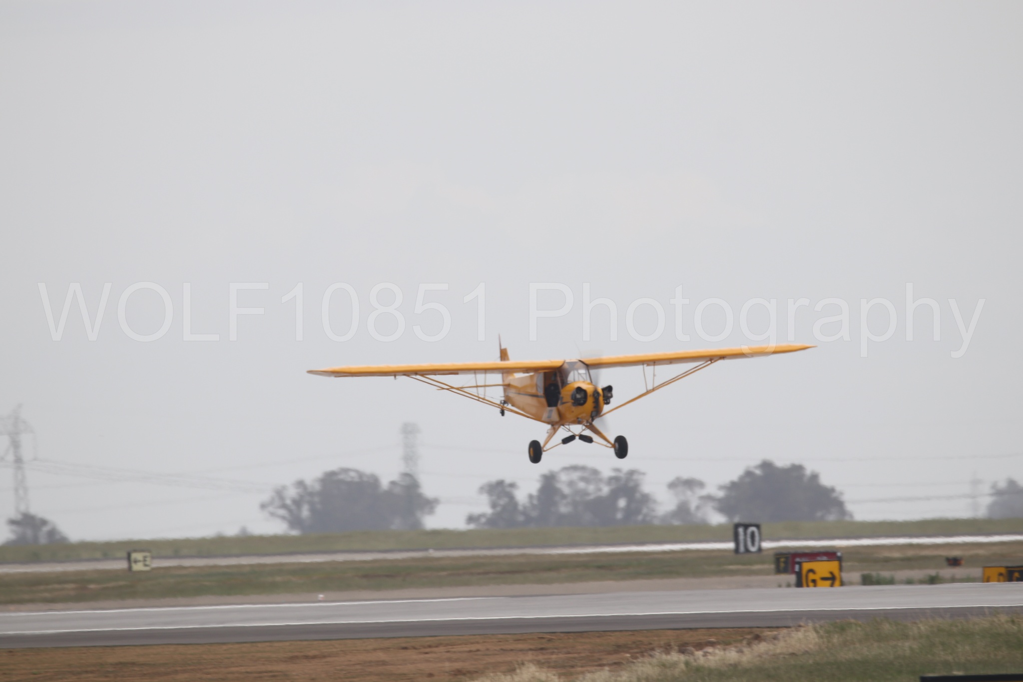 Piper J-3 Cub | Tucker Air Patrol | WOLF10851 Photography