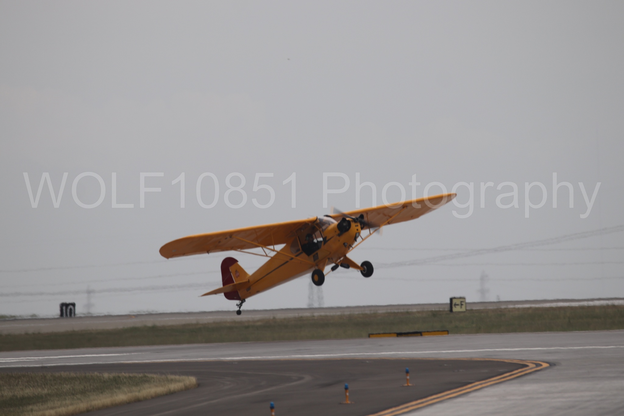 Piper J-3 Cub | Tucker Air Patrol | WOLF10851 Photography