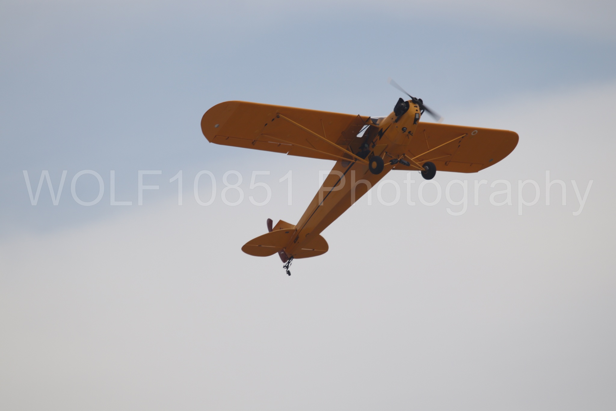 Piper J-3 Cub | Tucker Air Patrol | WOLF10851 Photography