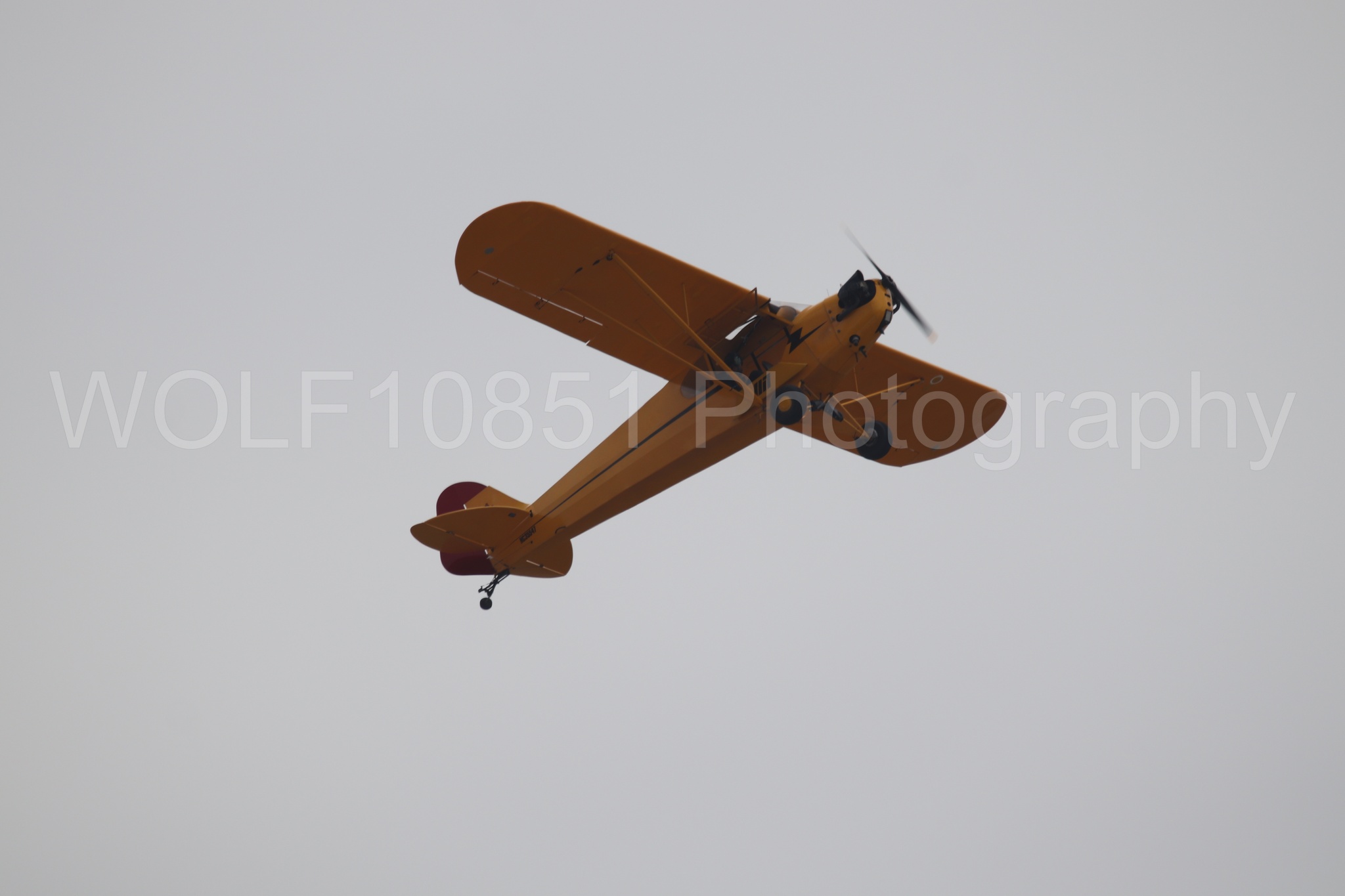 Piper J-3 Cub | Tucker Air Patrol | WOLF10851 Photography