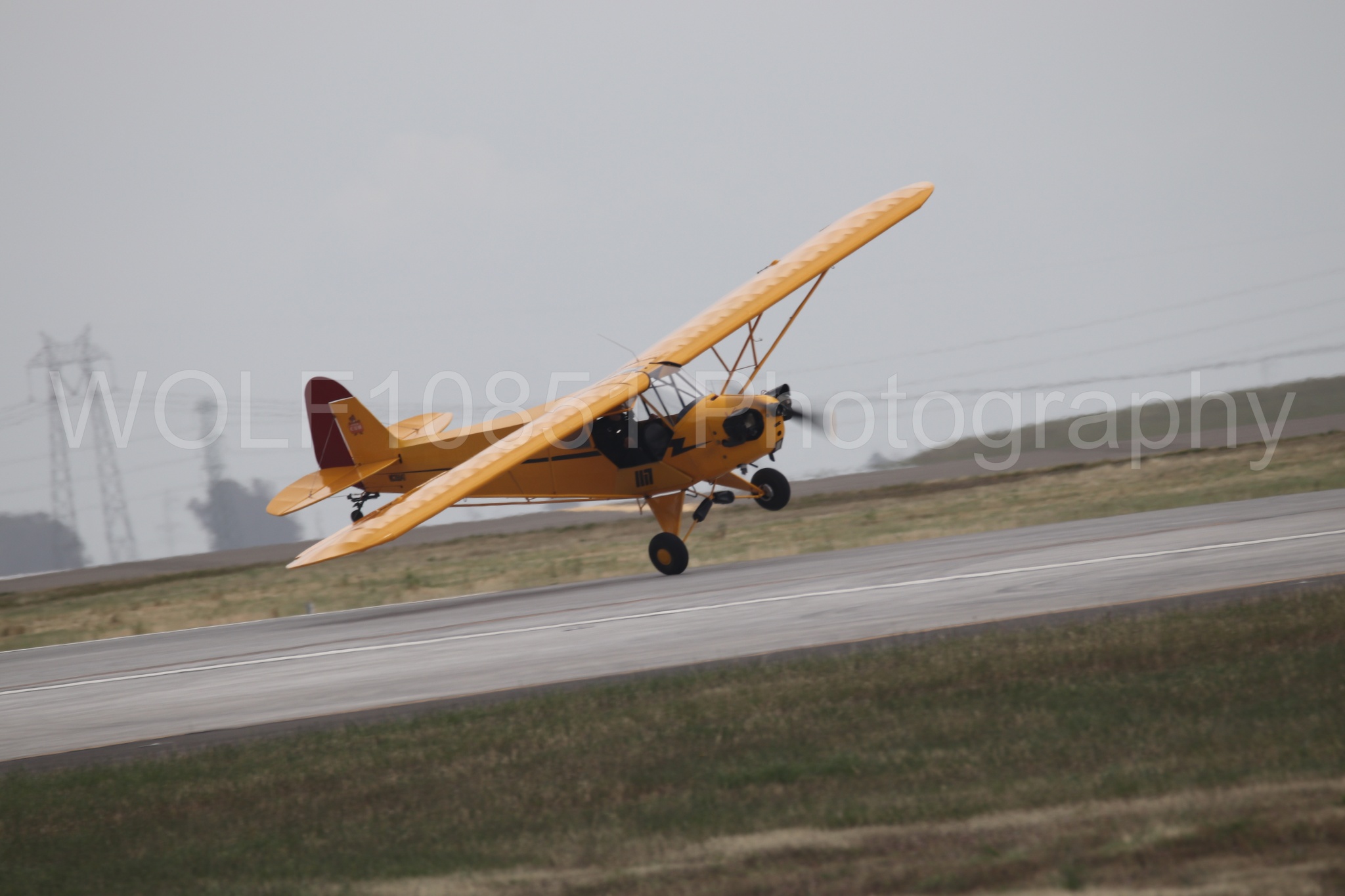 Piper J-3 Cub | Tucker Air Patrol | WOLF10851 Photography