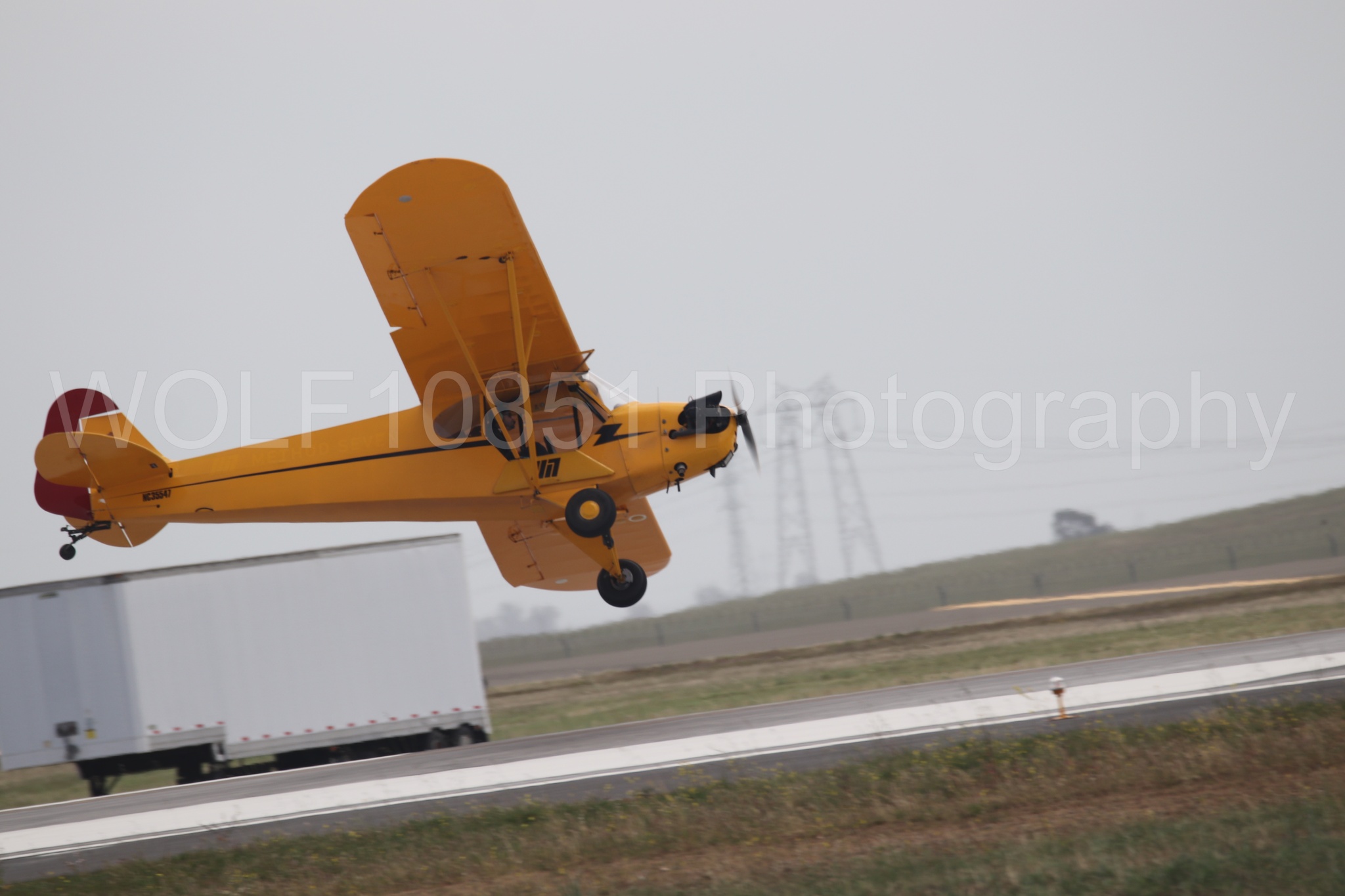 Piper J-3 Cub | Tucker Air Patrol | WOLF10851 Photography