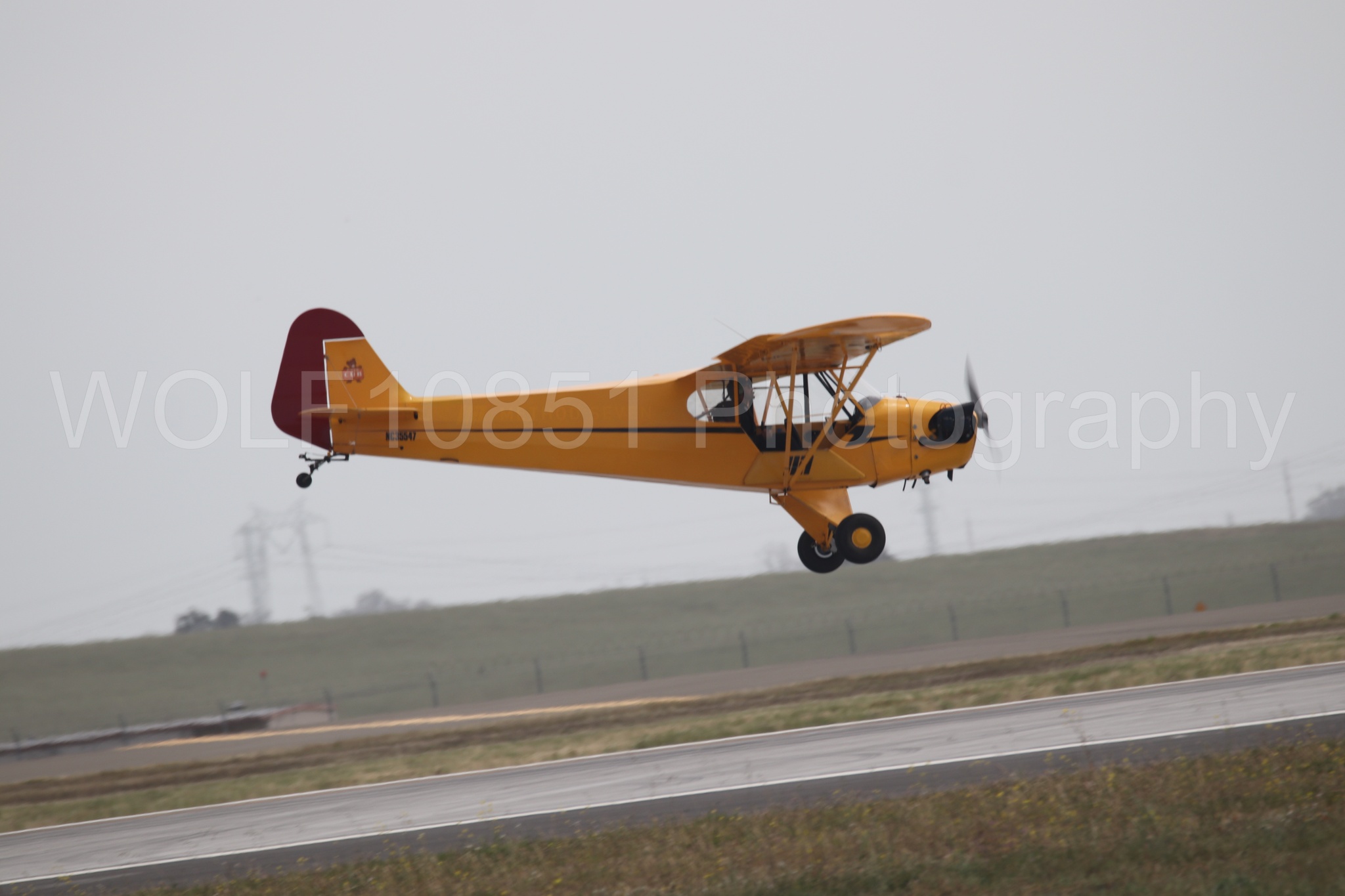 Piper J-3 Cub | Tucker Air Patrol | WOLF10851 Photography