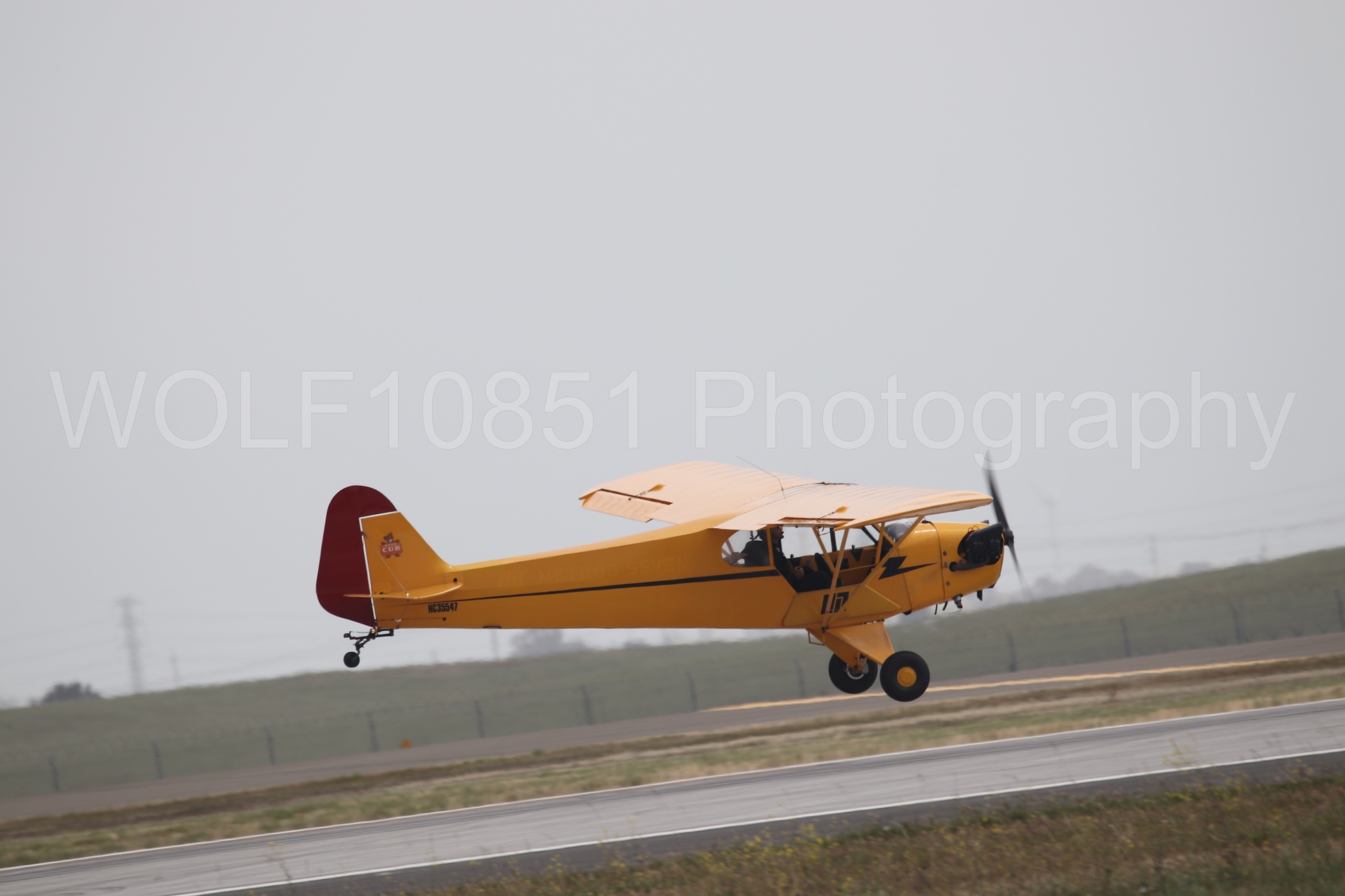 Piper J-3 Cub | Tucker Air Patrol | WOLF10851 Photography