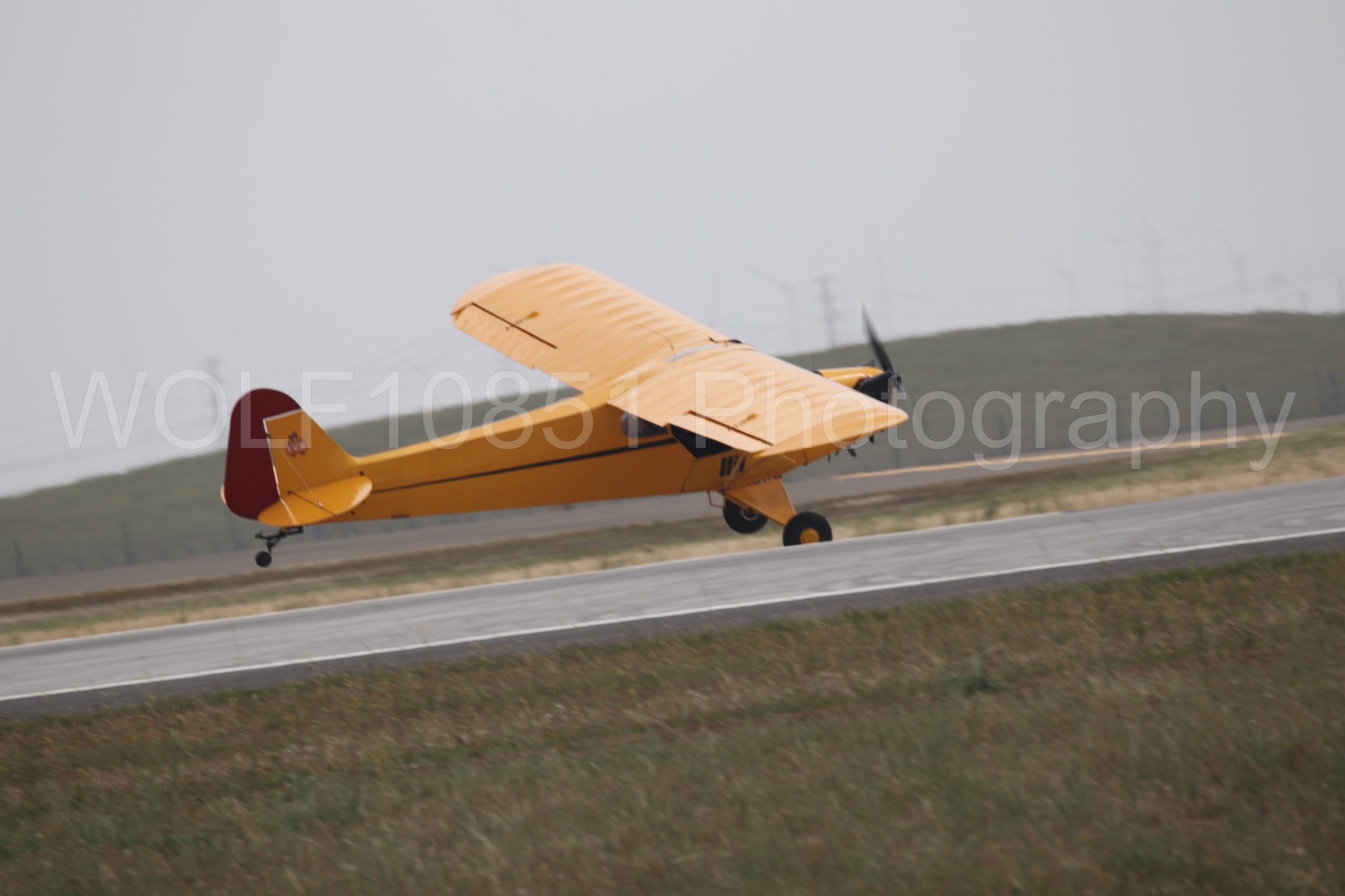 Piper J-3 Cub | Tucker Air Patrol | WOLF10851 Photography