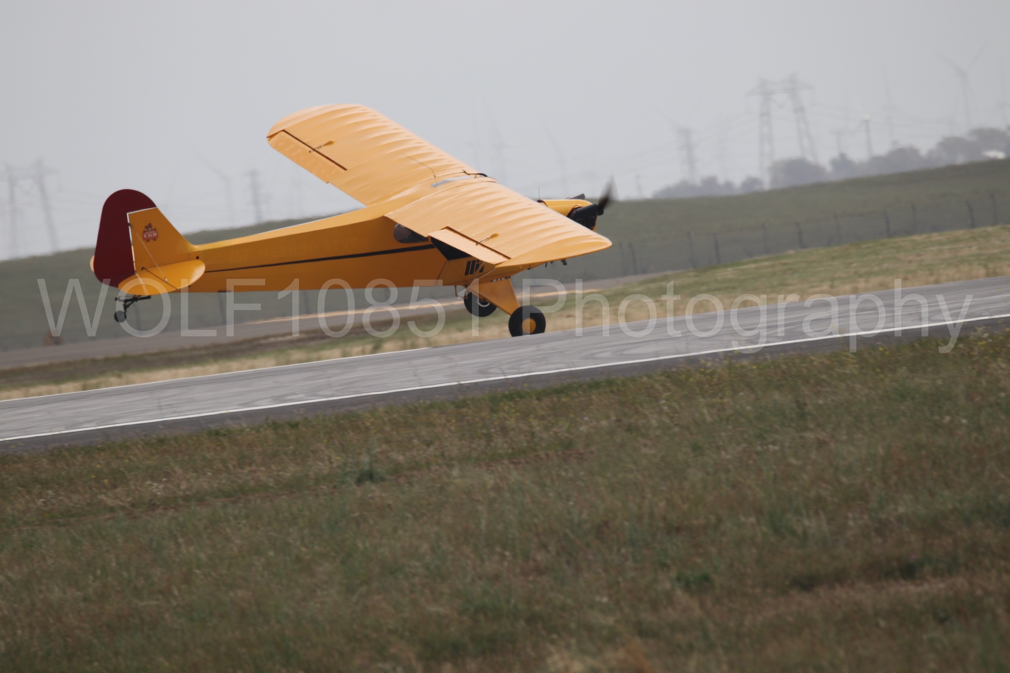 Piper J-3 Cub | Tucker Air Patrol | WOLF10851 Photography