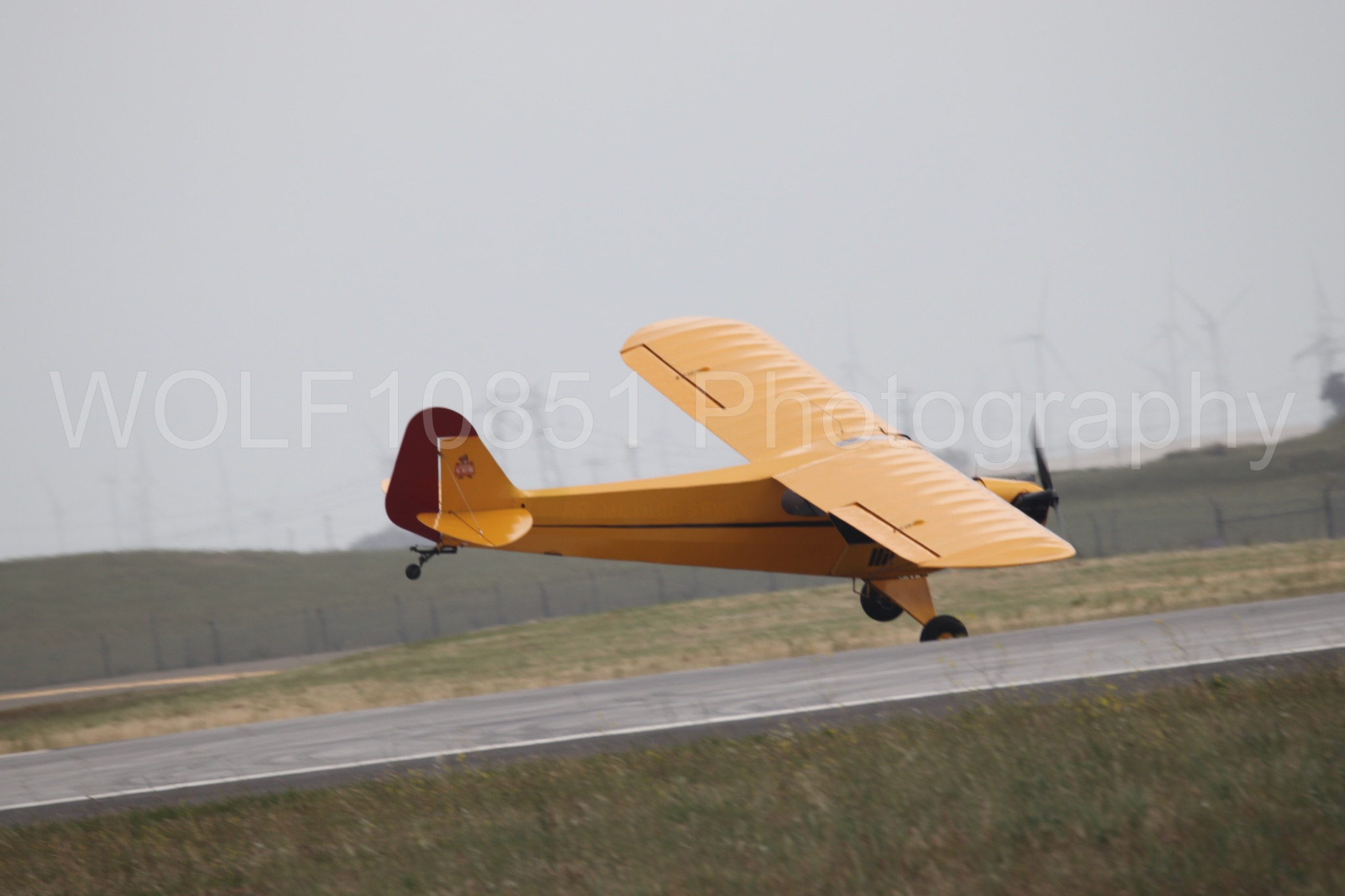 Piper J-3 Cub | Tucker Air Patrol | WOLF10851 Photography