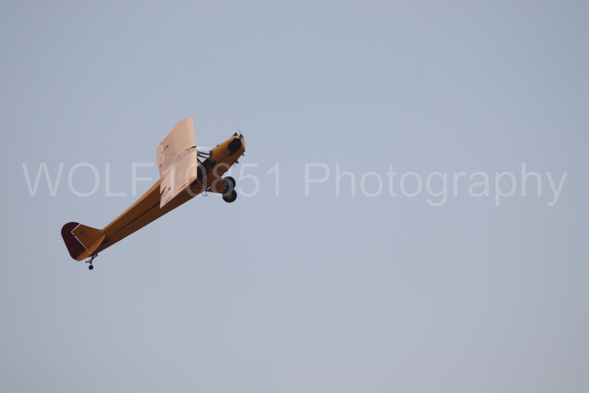 Piper J-3 Cub | Tucker Air Patrol | WOLF10851 Photography