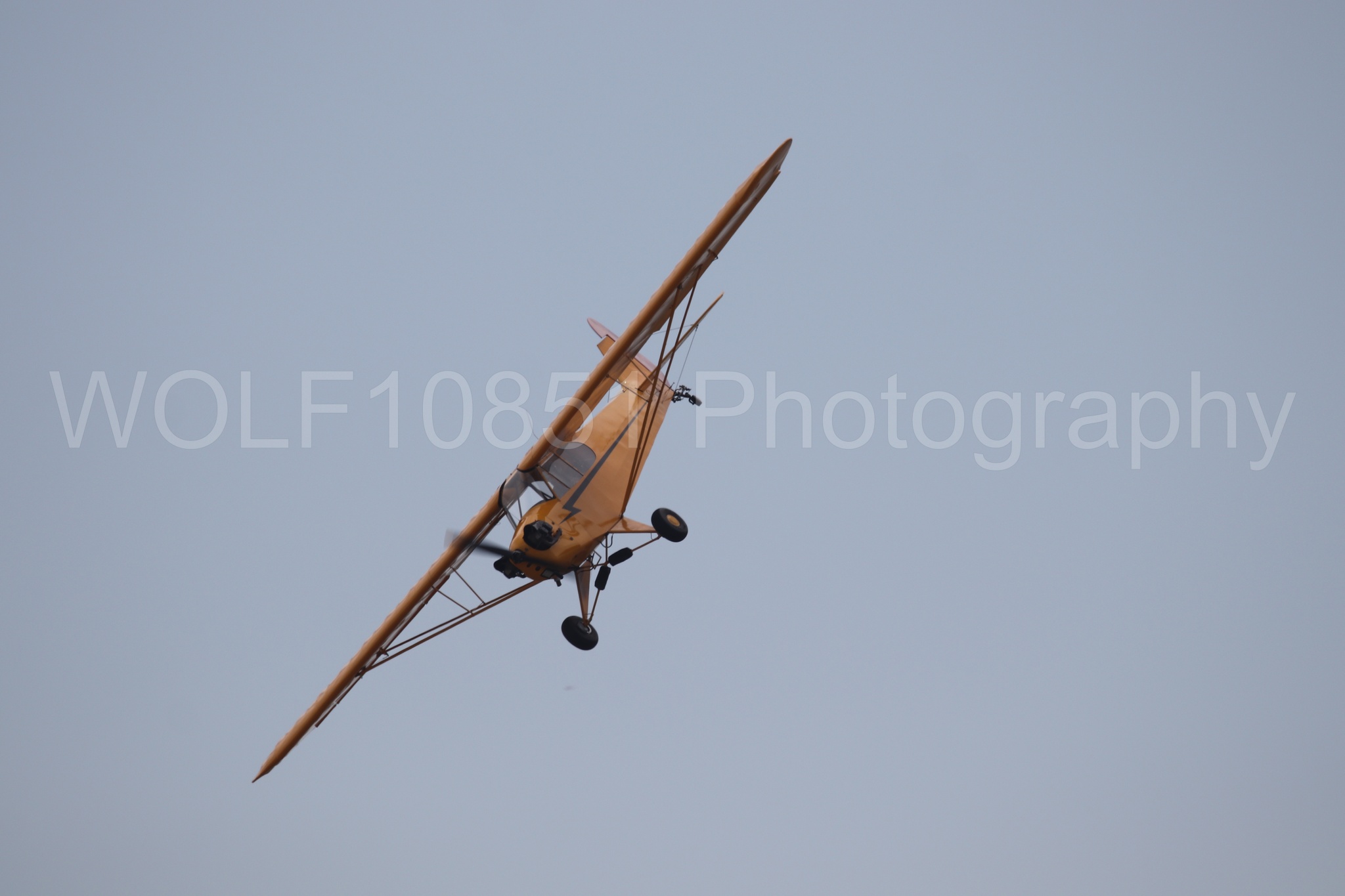 Piper J-3 Cub | Tucker Air Patrol | WOLF10851 Photography