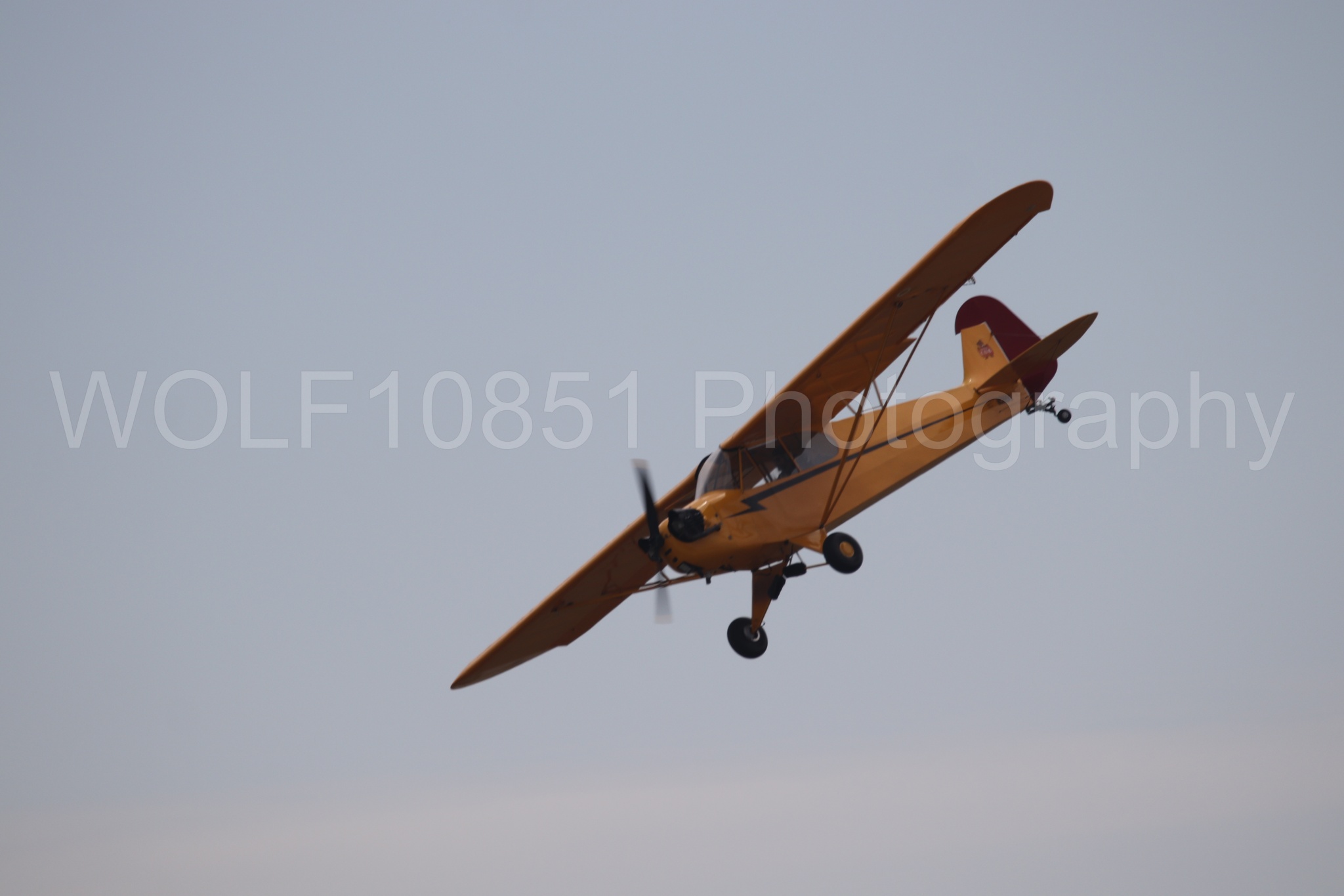 Piper J-3 Cub | Tucker Air Patrol | WOLF10851 Photography