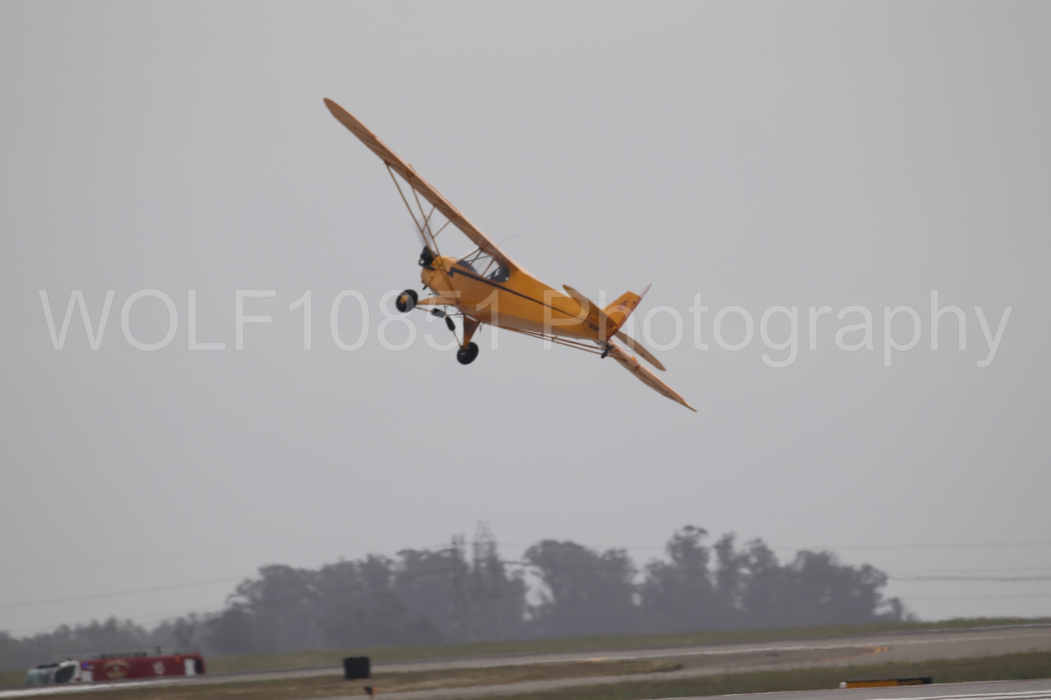 Piper J-3 Cub | Tucker Air Patrol | WOLF10851 Photography