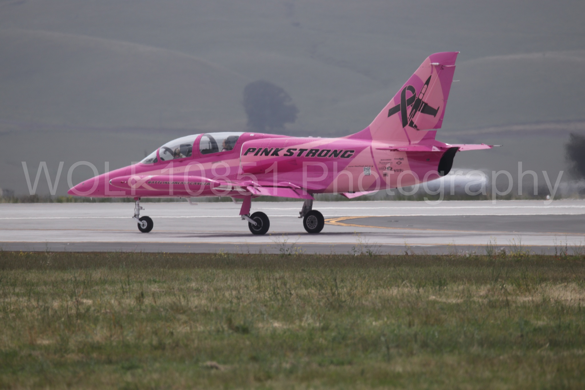 L-39 Albatros | WOLF10851 Photography