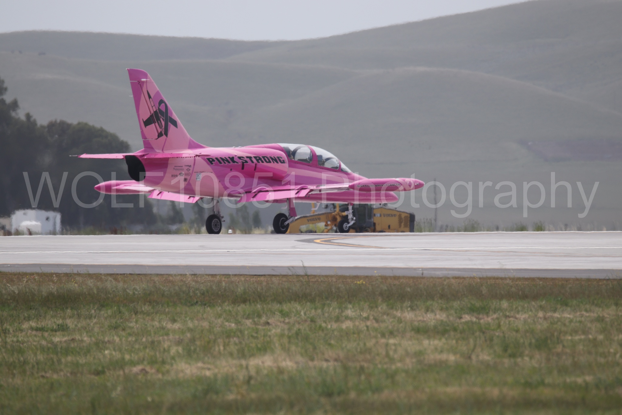 L-39 Albatros | WOLF10851 Photography