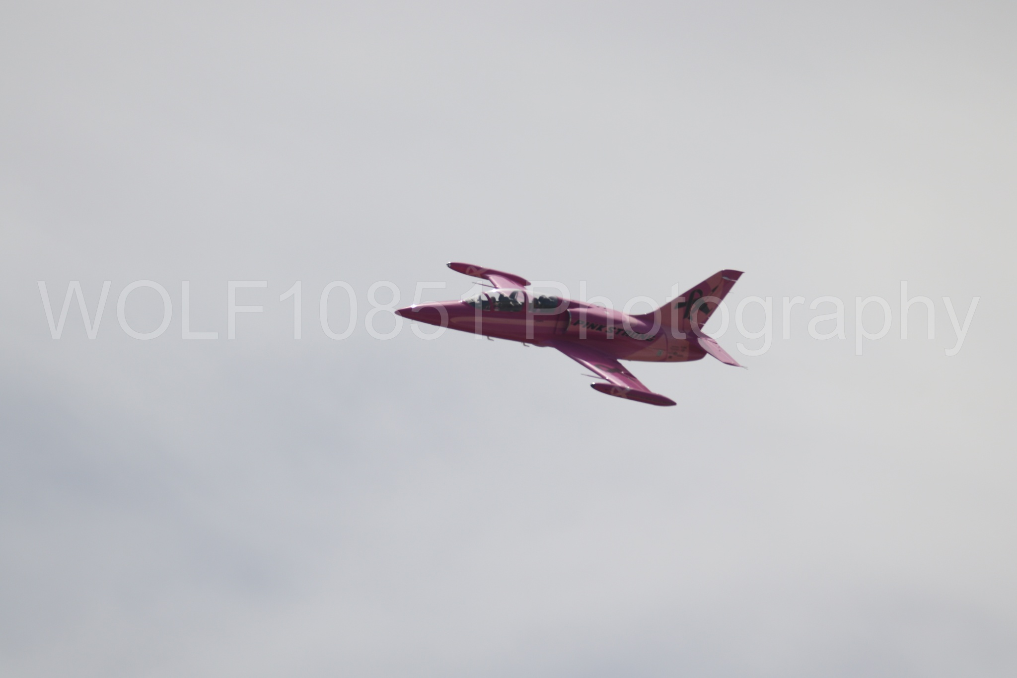 L-39 Albatros | WOLF10851 Photography