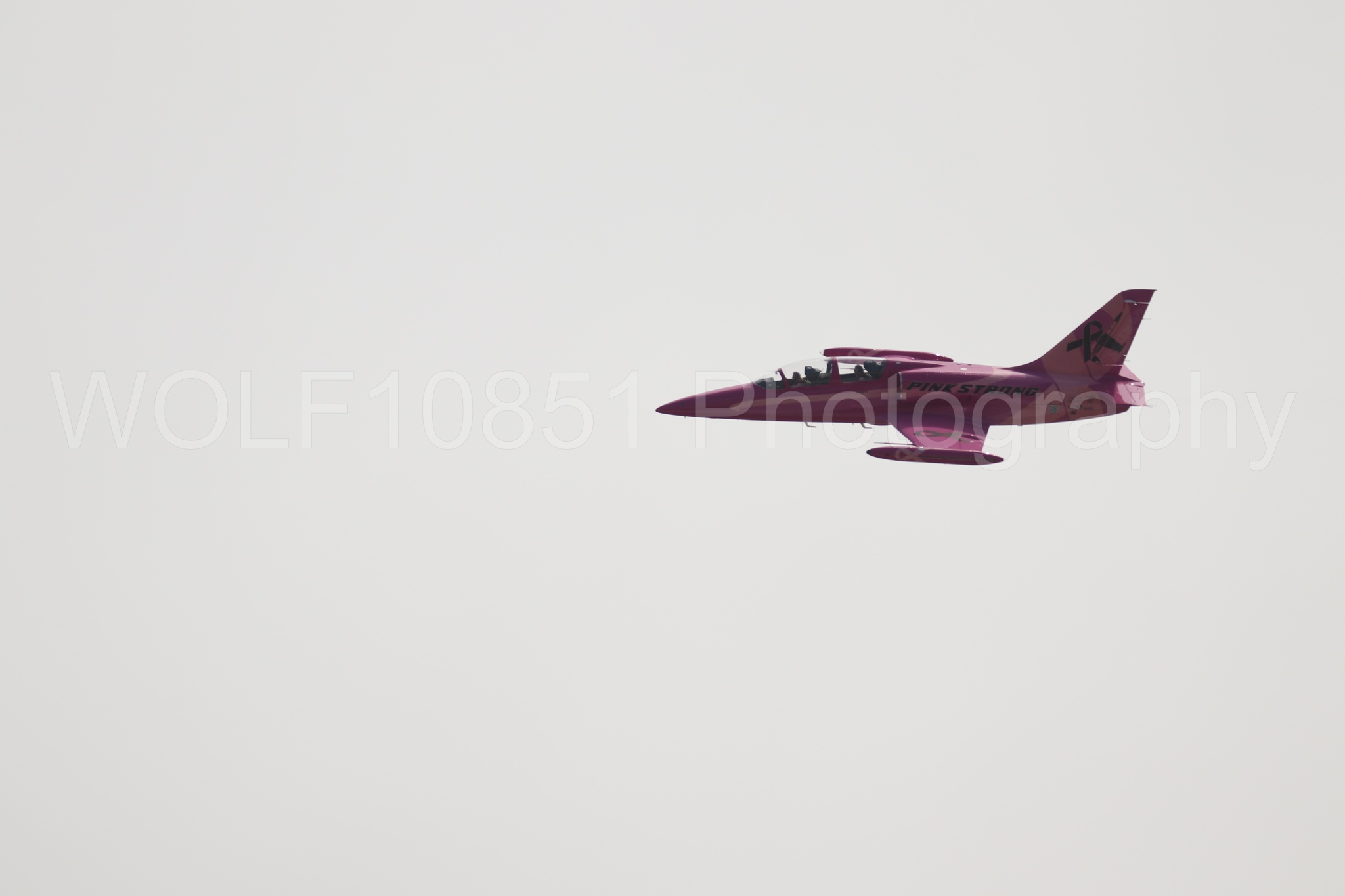 L-39 Albatros | WOLF10851 Photography