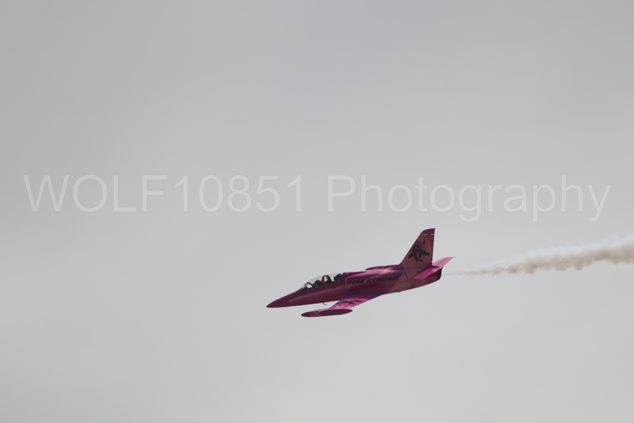 L-39 Albatros | WOLF10851 Photography