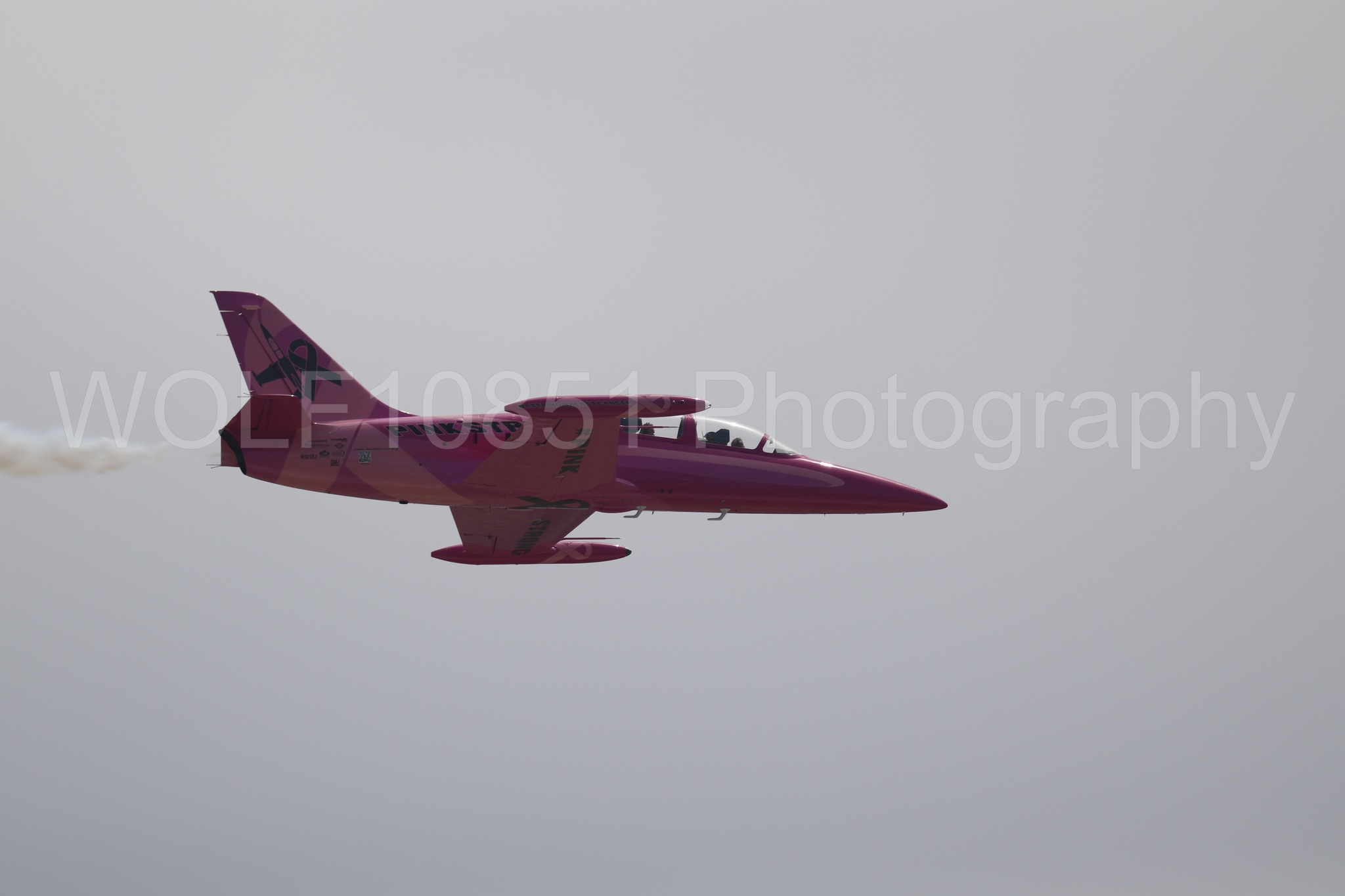L-39 Albatros | WOLF10851 Photography